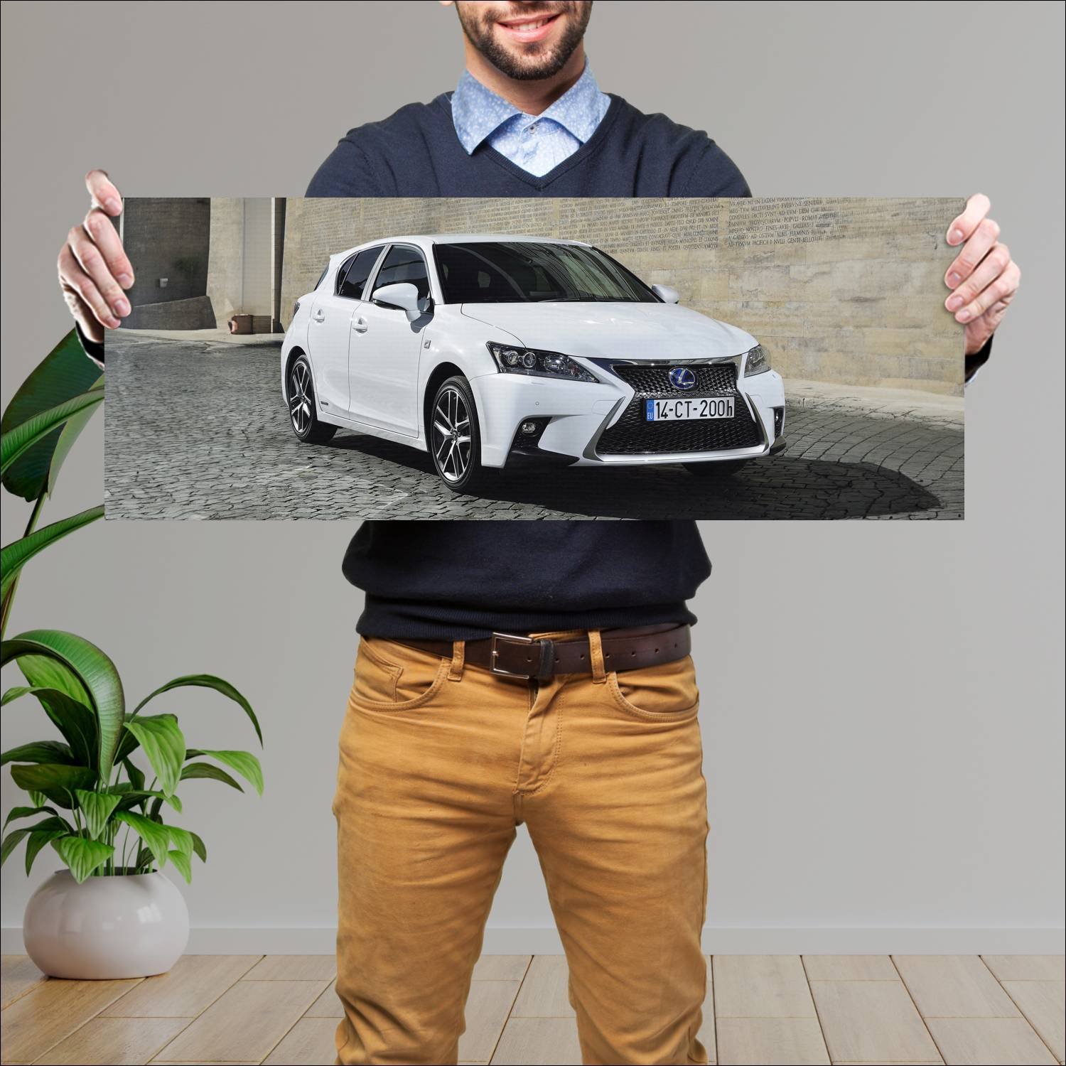 Cuadro grande 30x80cm 2014 lexus ct hybrid f sport 349 Lexus