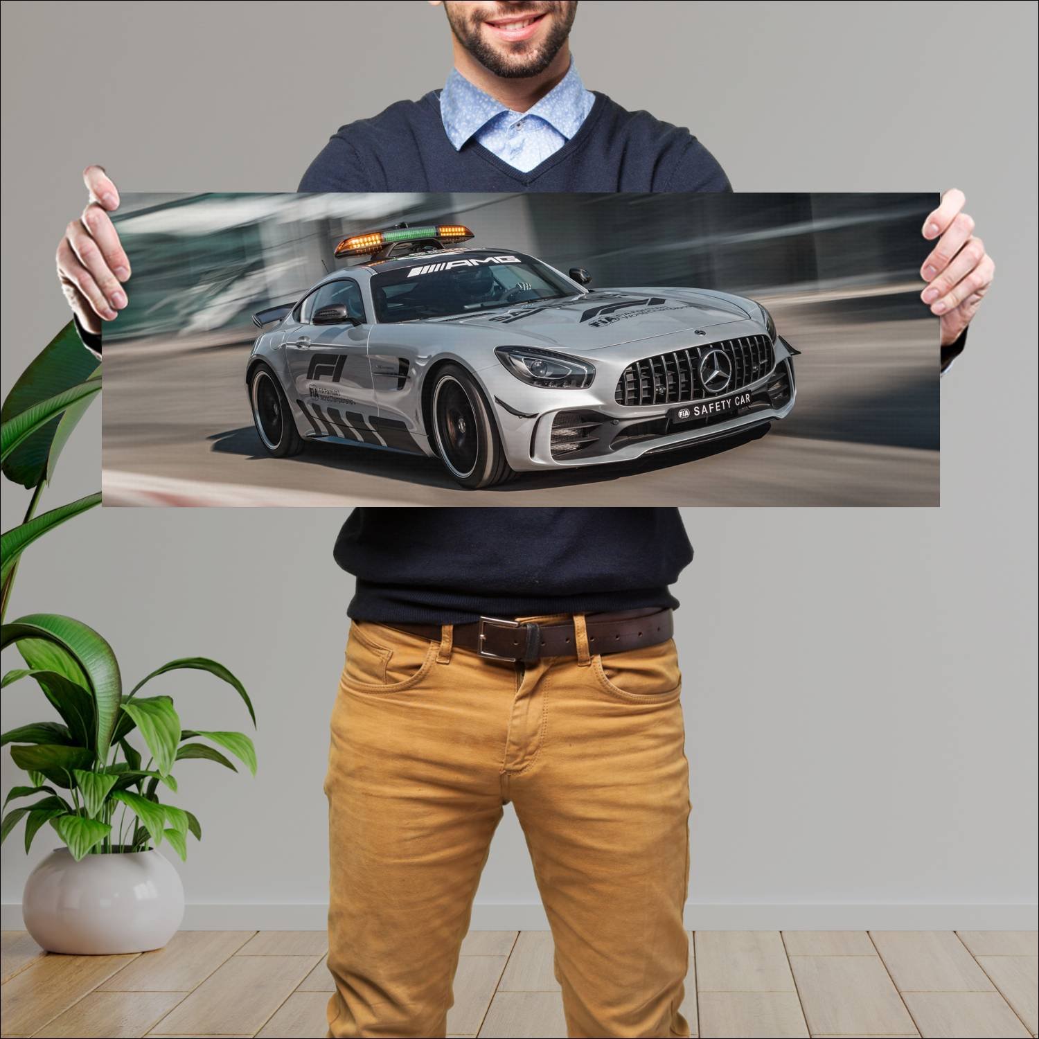 Cuadro grande 30x80cm 2018 mercedes amg gt r f1 sa 992 Mercedes Benz