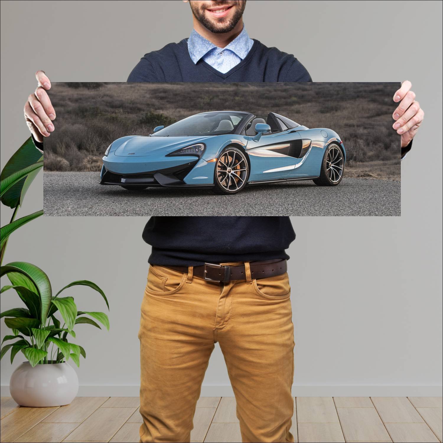 Cuadro grande 30x80cm 2018 mclaren 570s spider us 223 McLaren