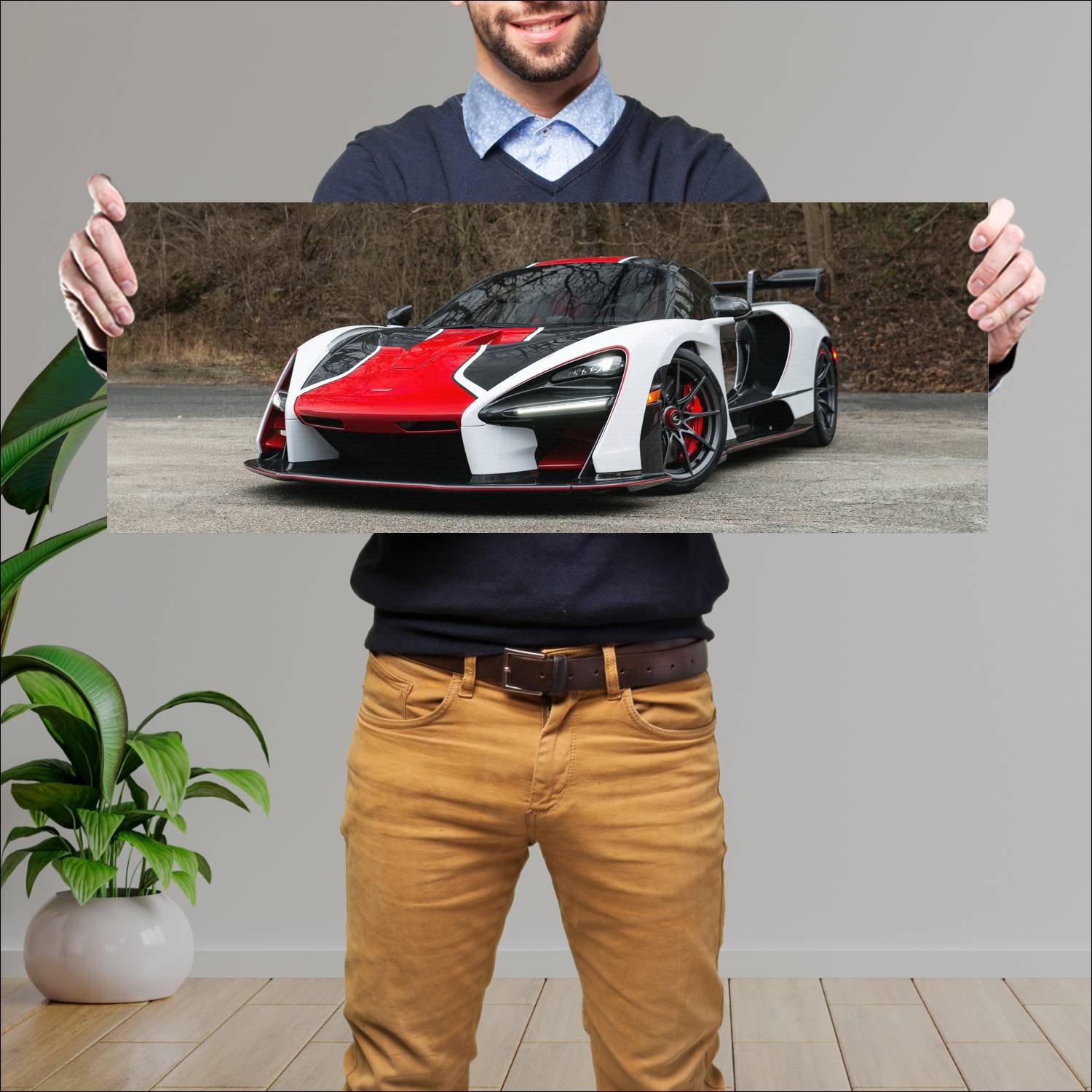 Cuadro grande 30x80cm 2018 mclaren senna champion 253 McLaren
