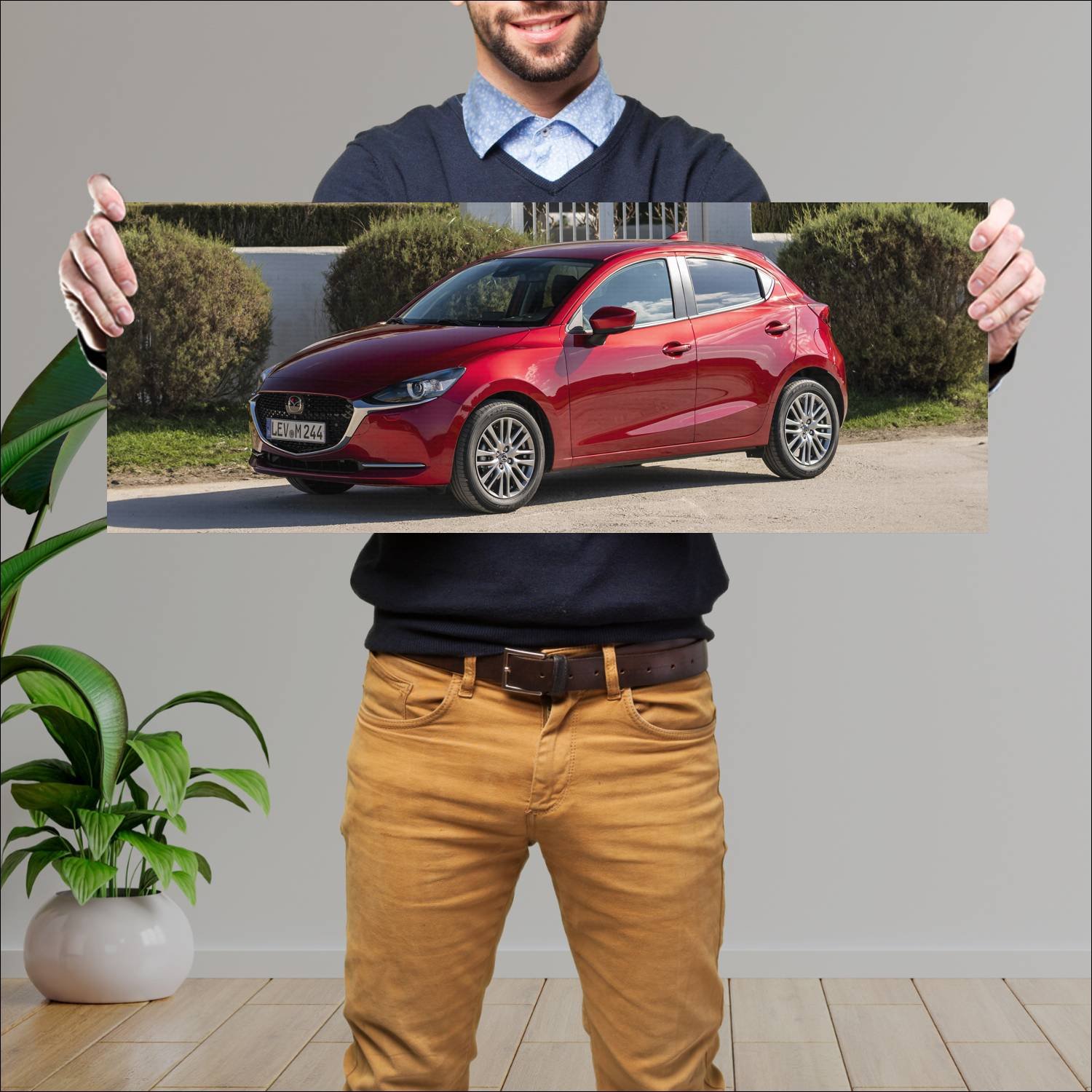 Cuadro grande 30x80cm 2020 mazda2 auto 139 Mazda
