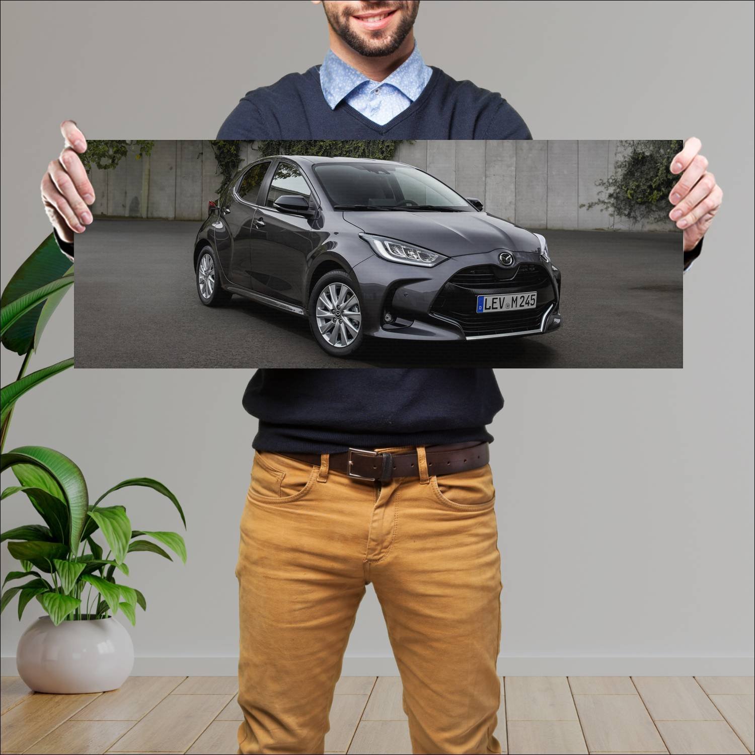 Cuadro grande 30x80cm 2022 mazda2 hybrid auto 150 Mazda