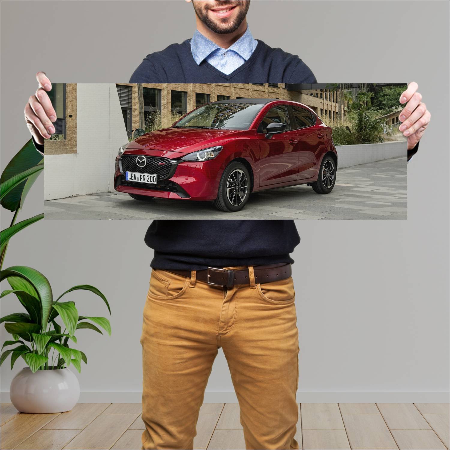 Cuadro grande 30x80cm 2023 mazda2 auto 156 Mazda