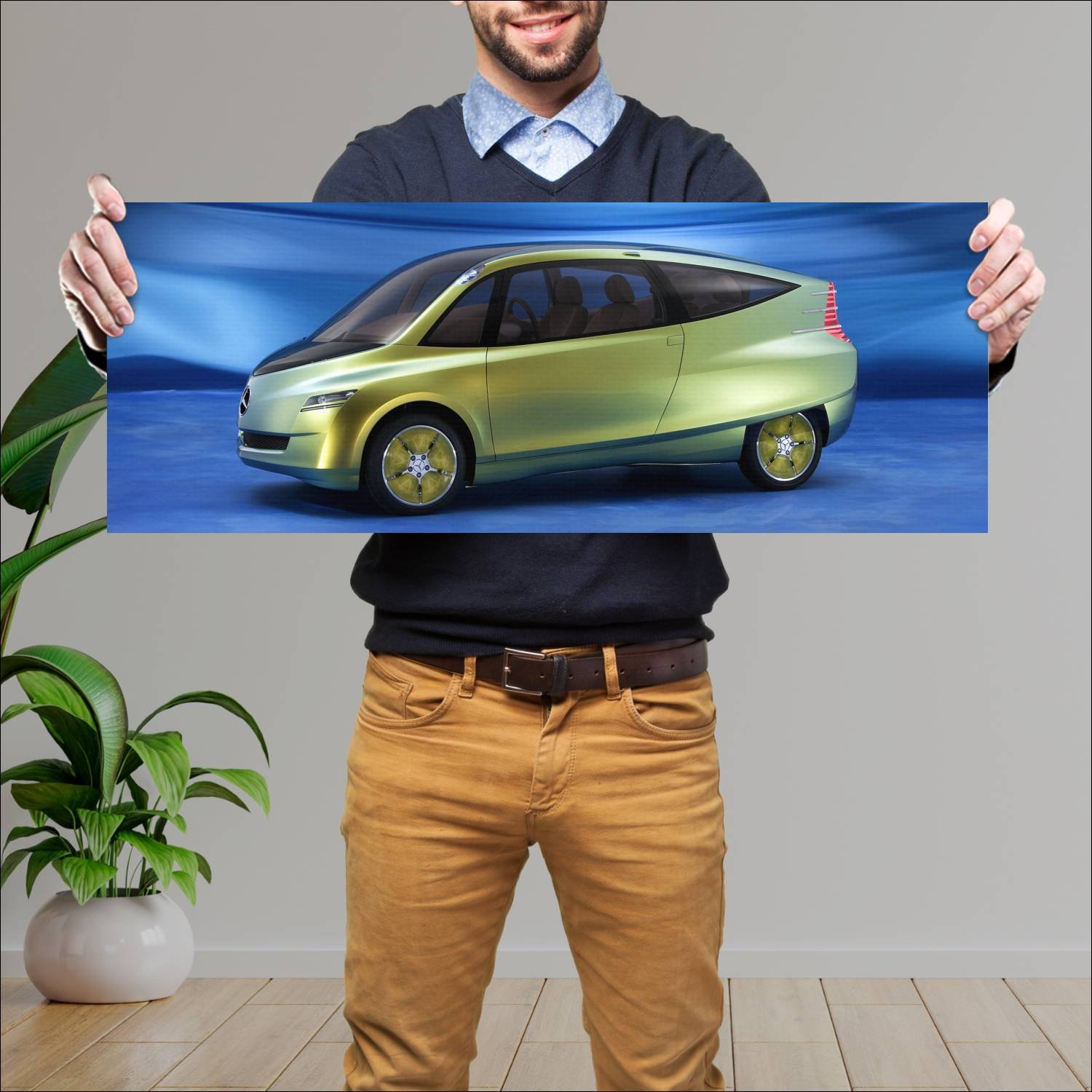 Cuadro grande 30x80cm 2005 mercedes benz bionic ca 390 Mercedes Benz