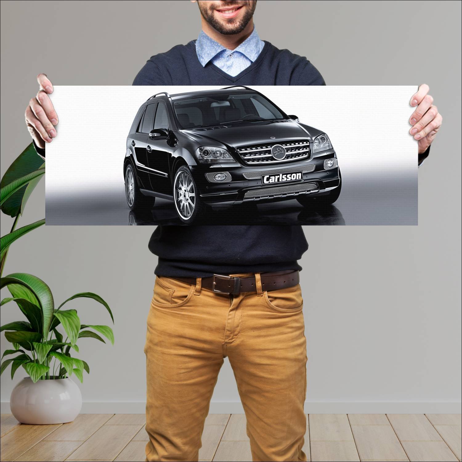 Cuadro grande 30x80cm 2005 mercedes benz m class b 401 Mercedes Benz