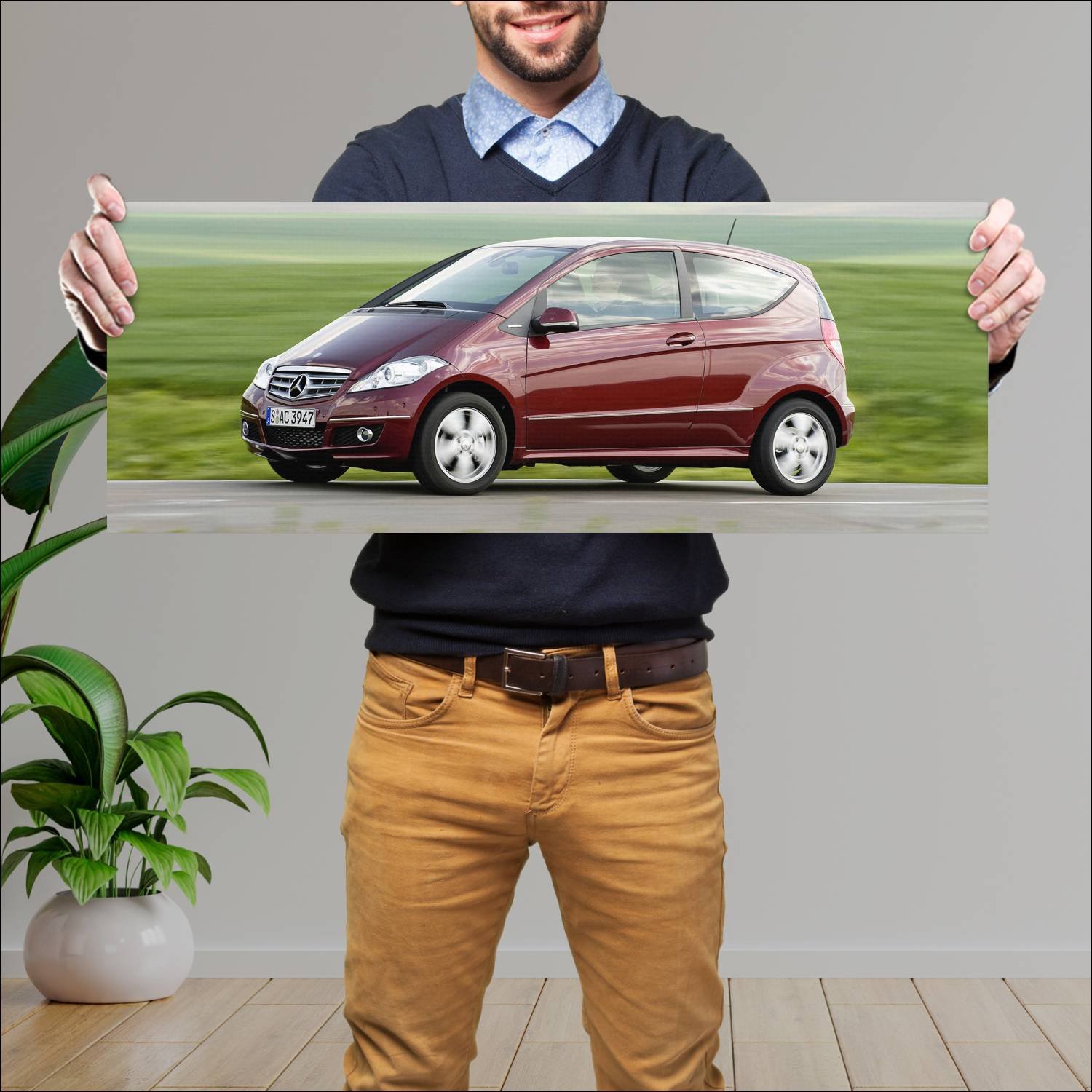 Cuadro grande 30x80cm 2008 mercedes benz a class a 569 Mercedes Benz