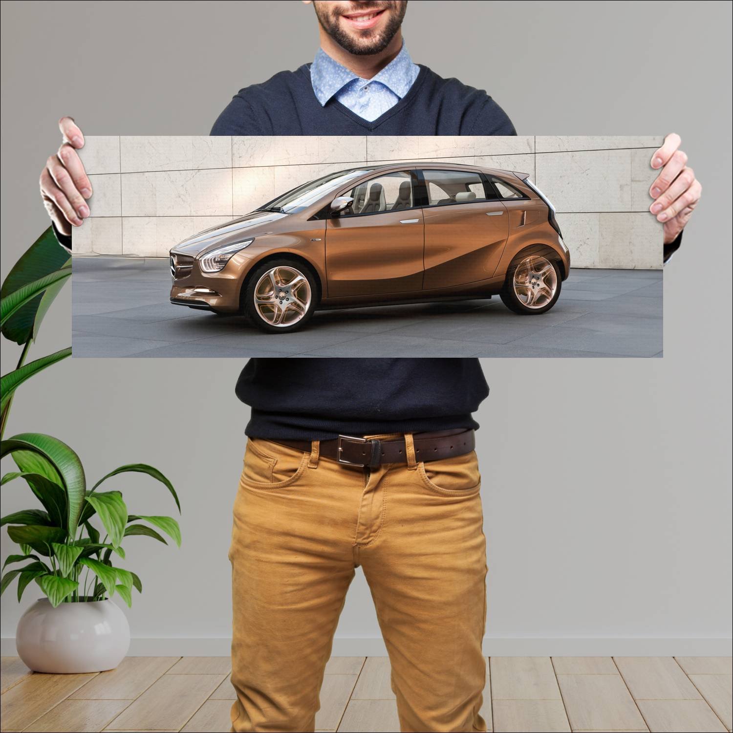 Cuadro grande 30x80cm 2009 mercedes benz concept b 660 Mercedes Benz
