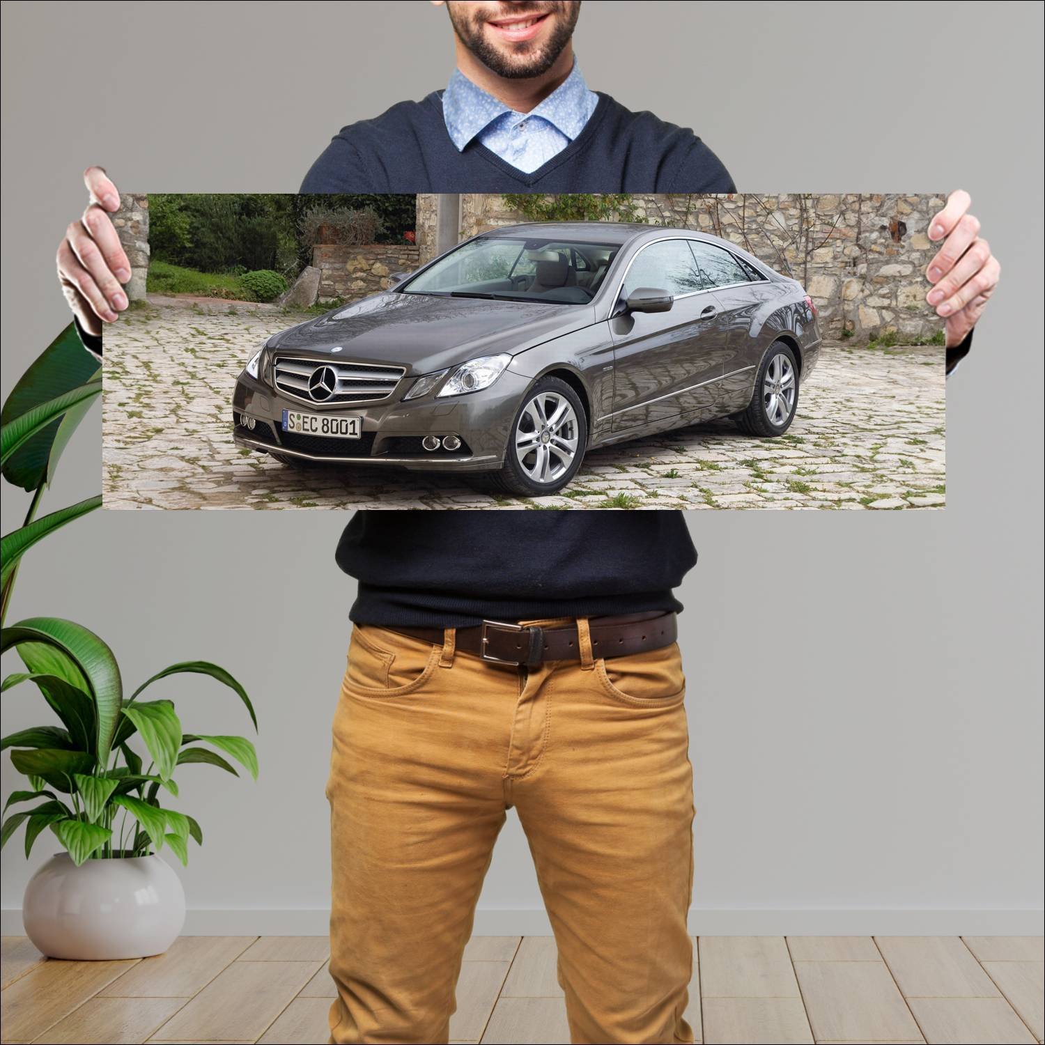 Cuadro grande 30x80cm 2009 mercedes benz e class c 679 Mercedes Benz