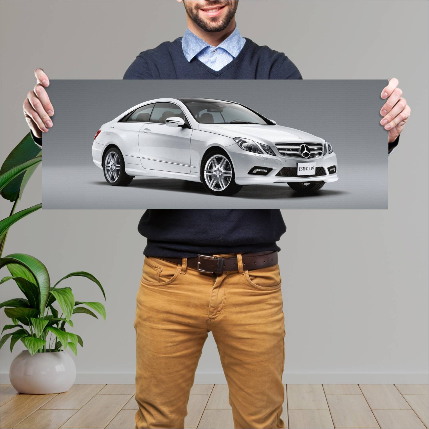 Cuadro grande 30x80cm 2009 mercedes benz e class c 684 Mercedes Benz