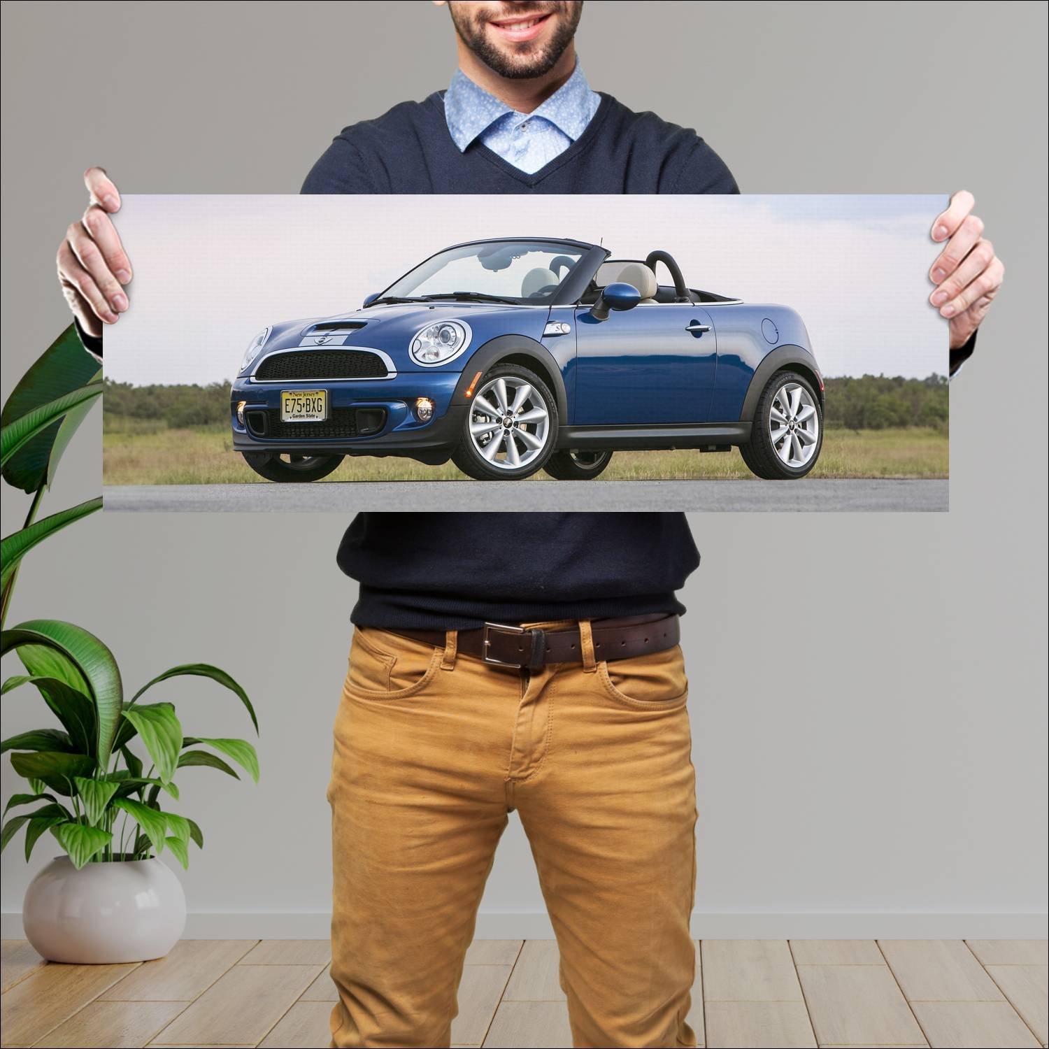 Cuadro grande 30x80cm 2012 mini cooper s roadster 146 Mini