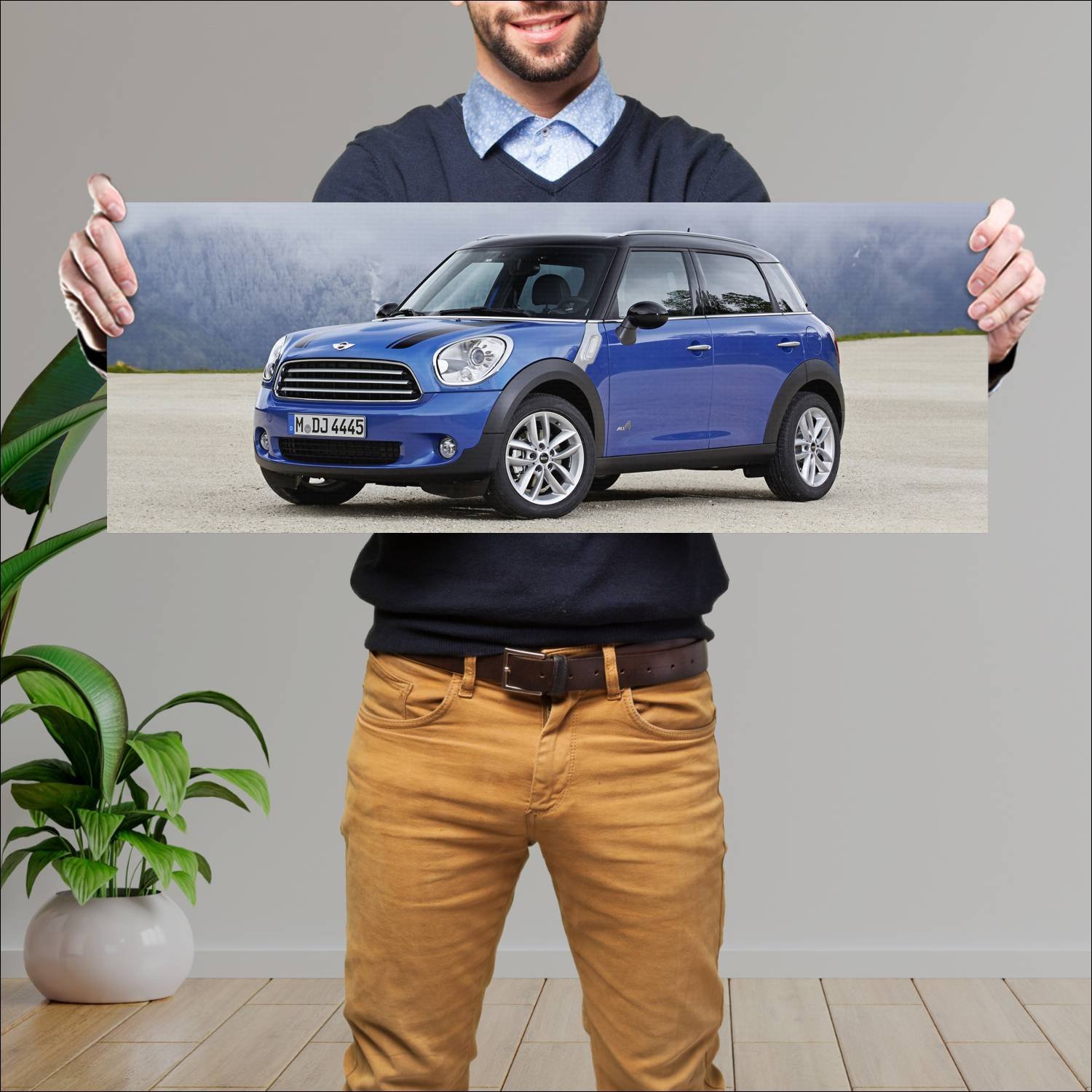 Cuadro grande 30x80cm 2013 mini cooper countryman 161 Mini