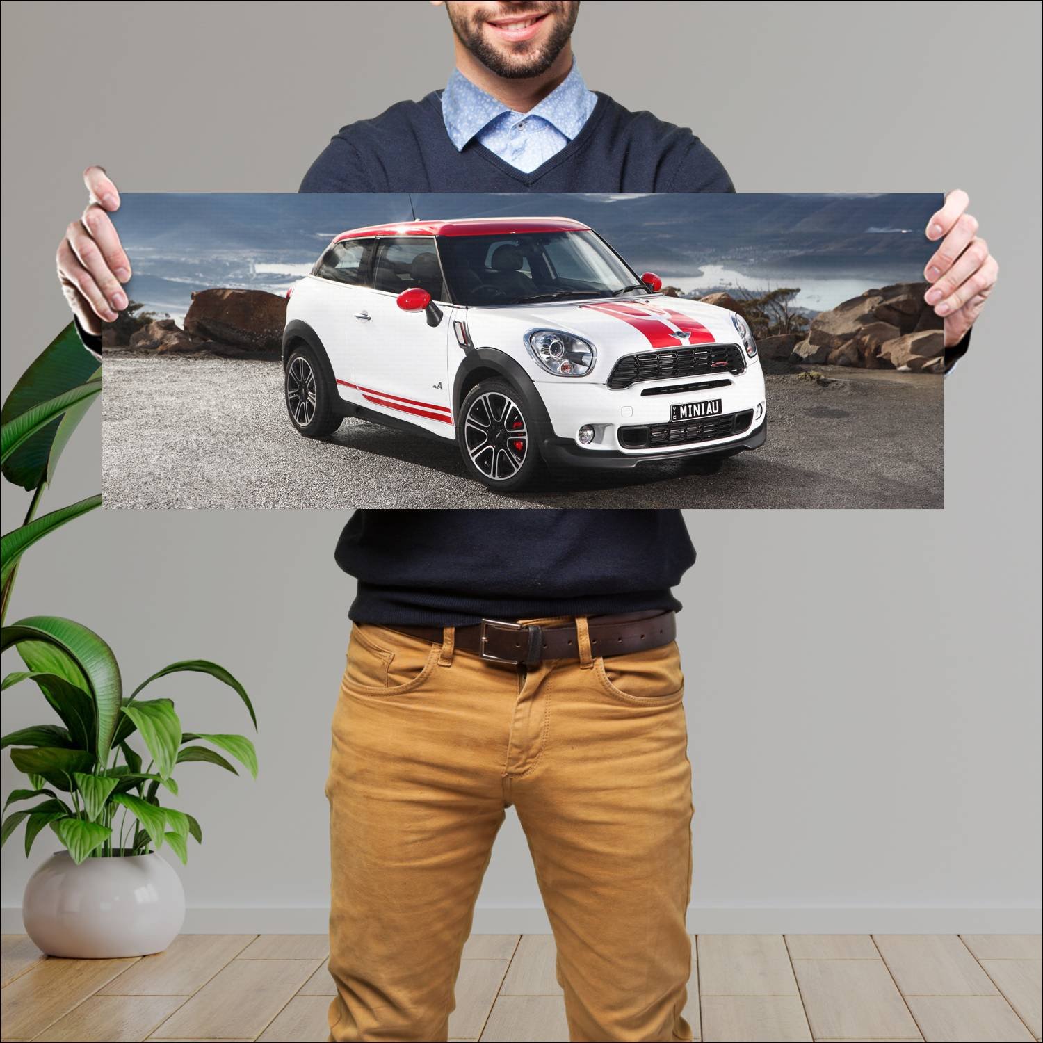 Cuadro grande 30x80cm 2013 mini john cooper works 179 Mini