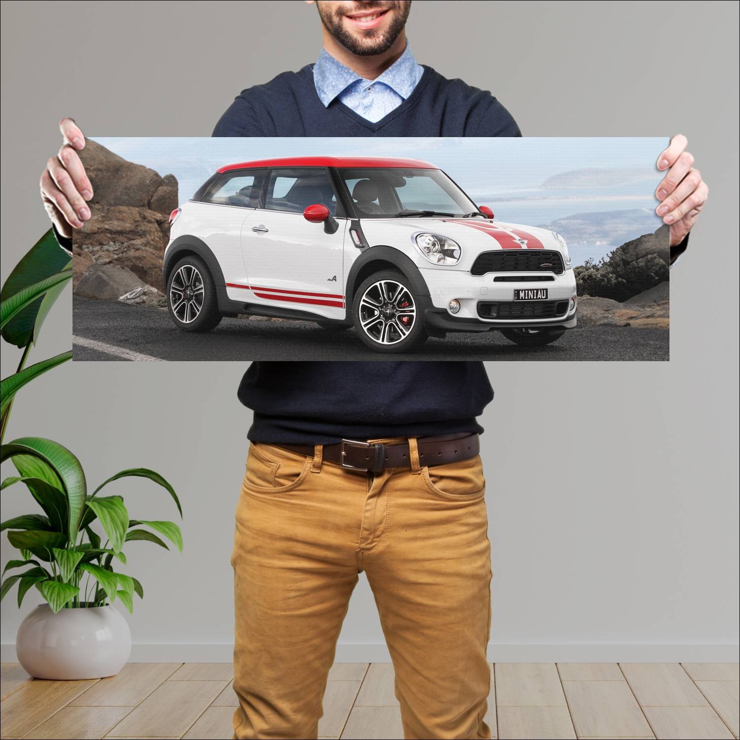 Cuadro grande 30x80cm 2013 mini john cooper works 180 Mini