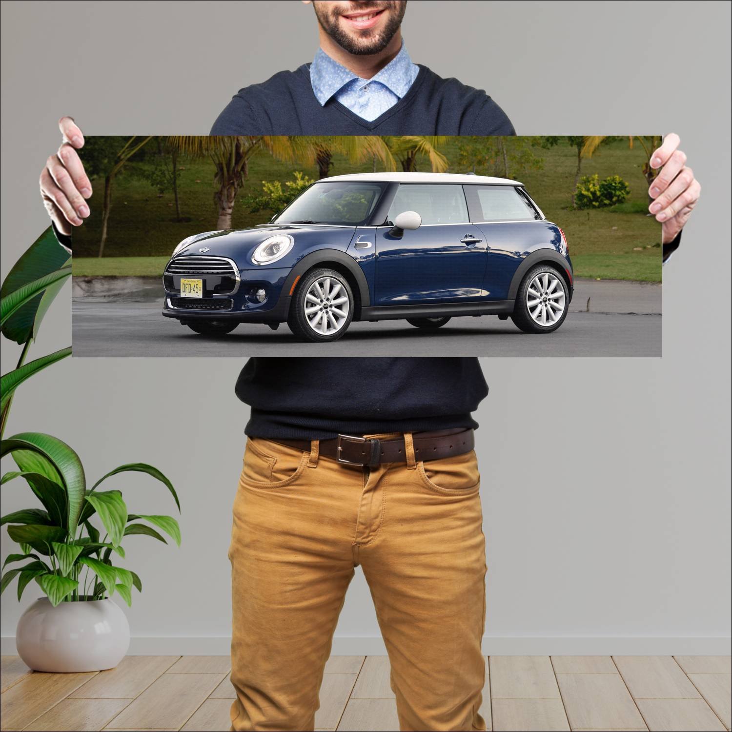 Cuadro grande 30x80cm 2014 mini cooper us auto 210 Mini