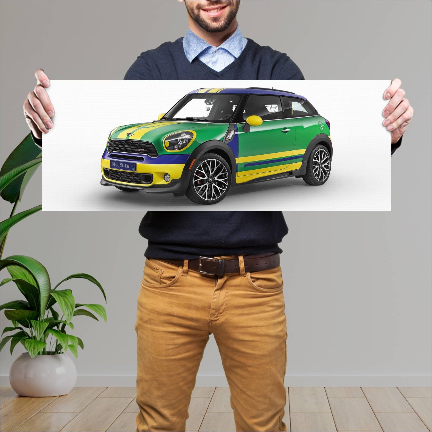 Cuadro grande 30x80cm 2014 mini paceman goalcooper 217 Mini