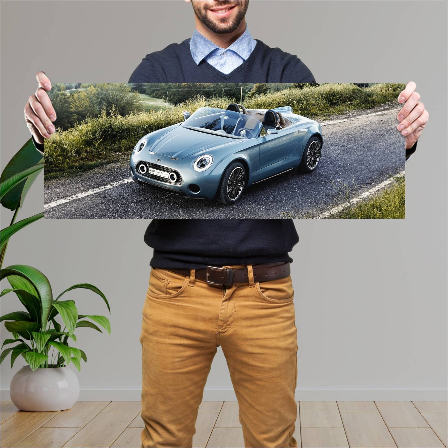 Cuadro grande 30x80cm 2014 mini superleggera visio 218 Mini