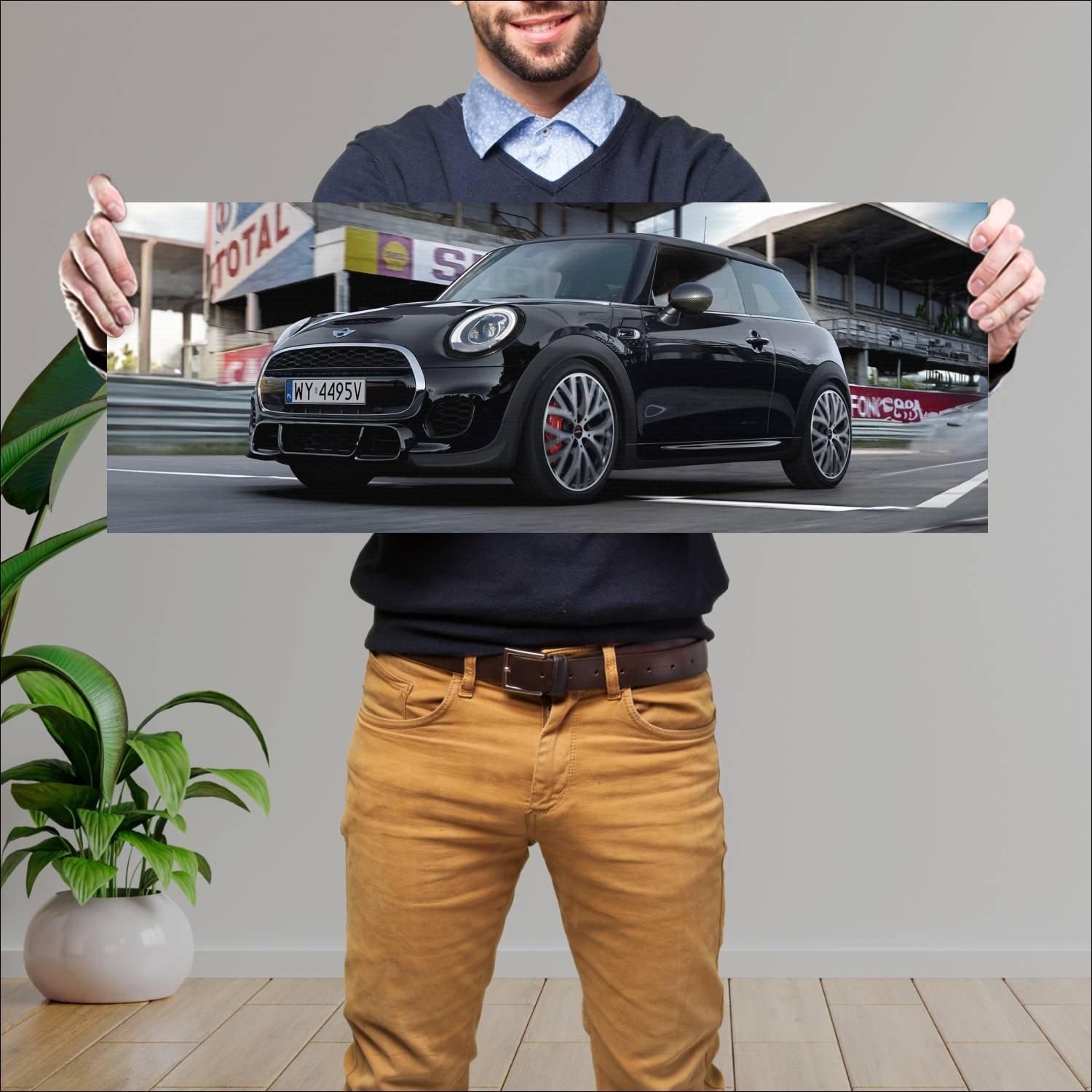 Cuadro grande 30x80cm 2016 mini carbon pro edition 249 Mini