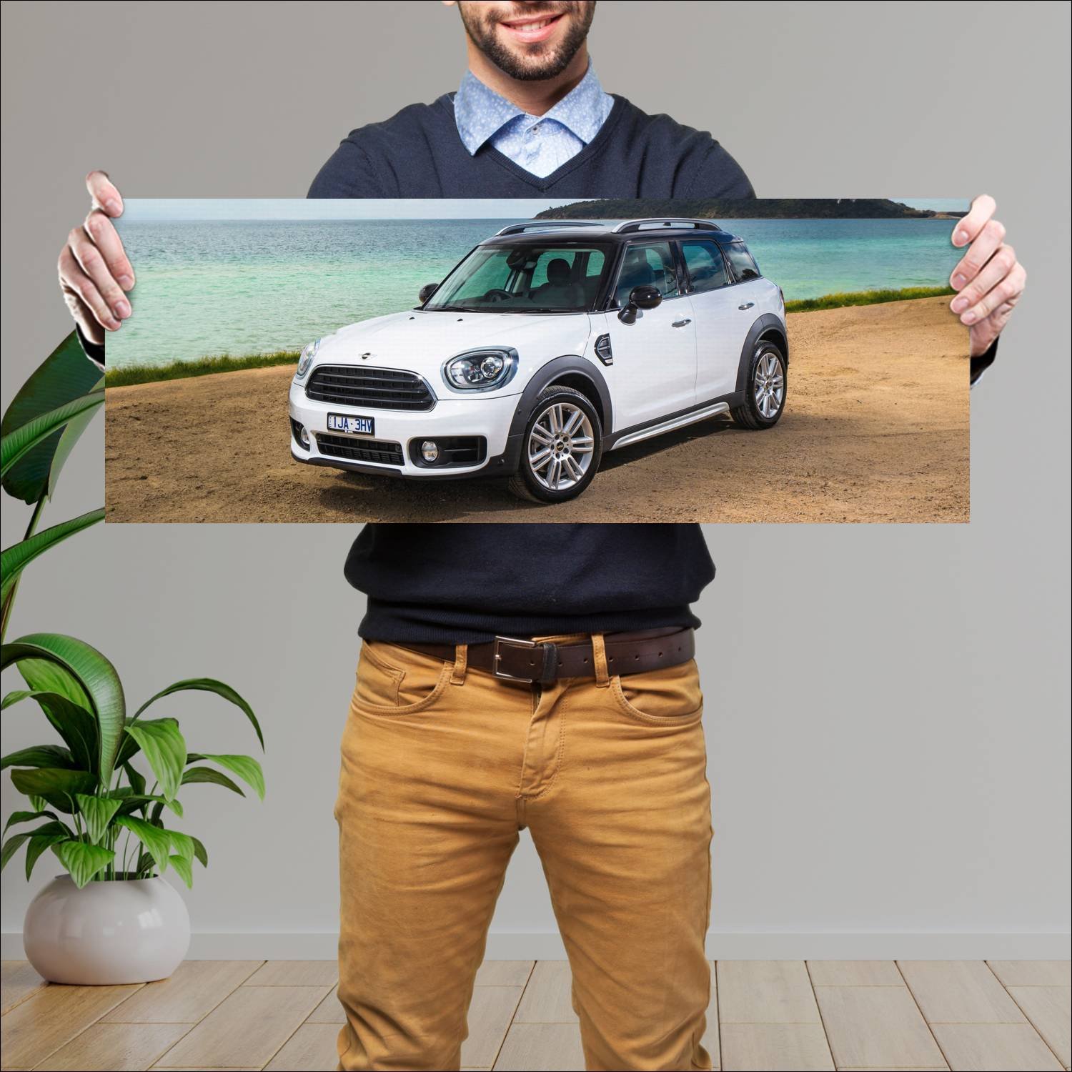 Cuadro grande 30x80cm 2017 mini cooper countryman 281 Mini