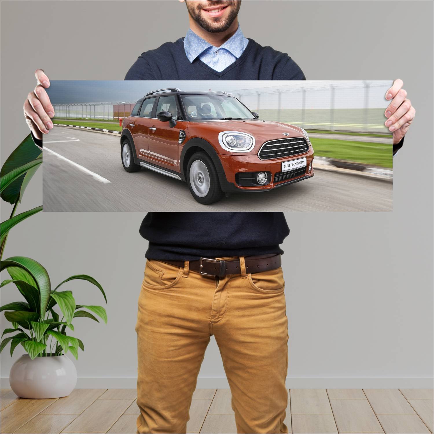 Cuadro grande 30x80cm 2017 mini cooper countryman 284 Mini
