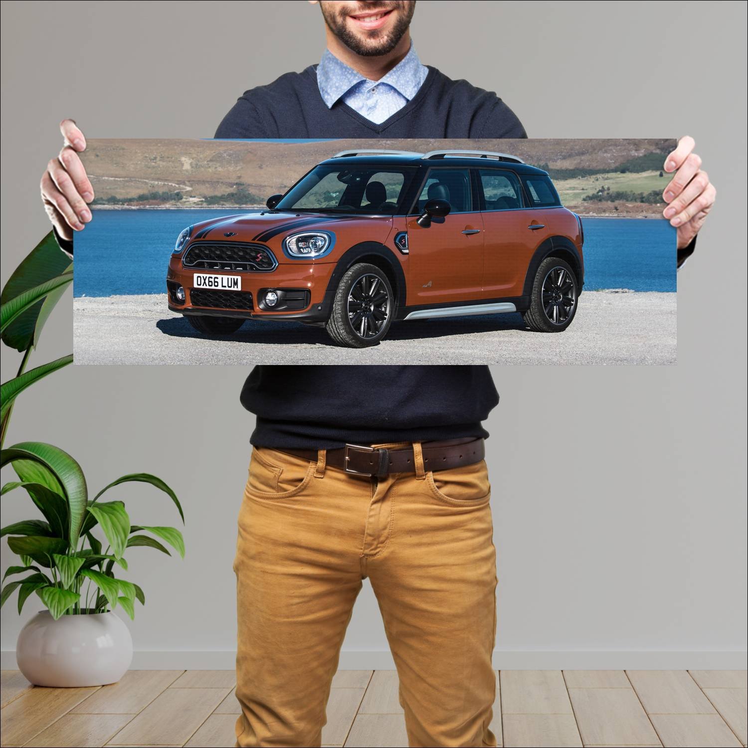 Cuadro grande 30x80cm 2017 mini cooper s countryma 291 Mini