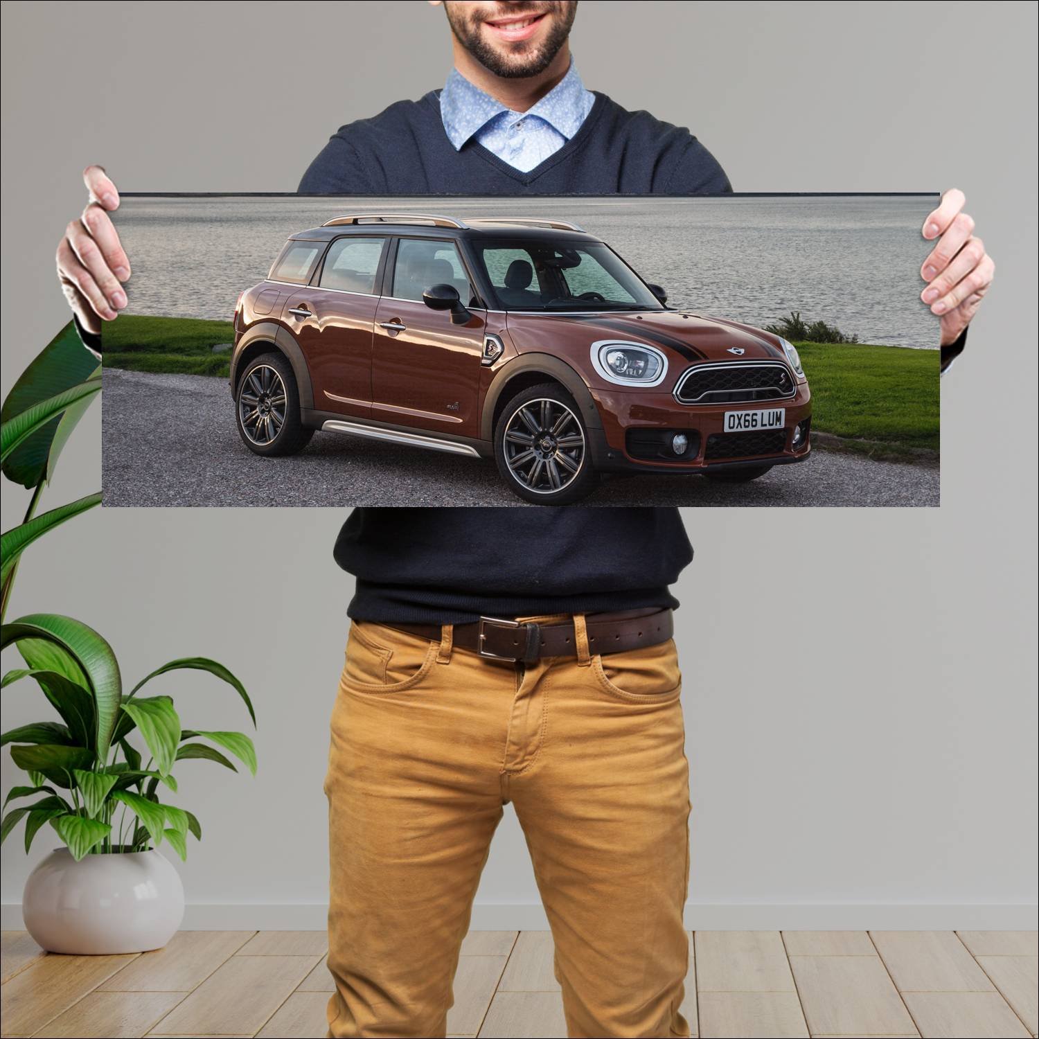 Cuadro grande 30x80cm 2017 mini cooper s countryma 292 Mini