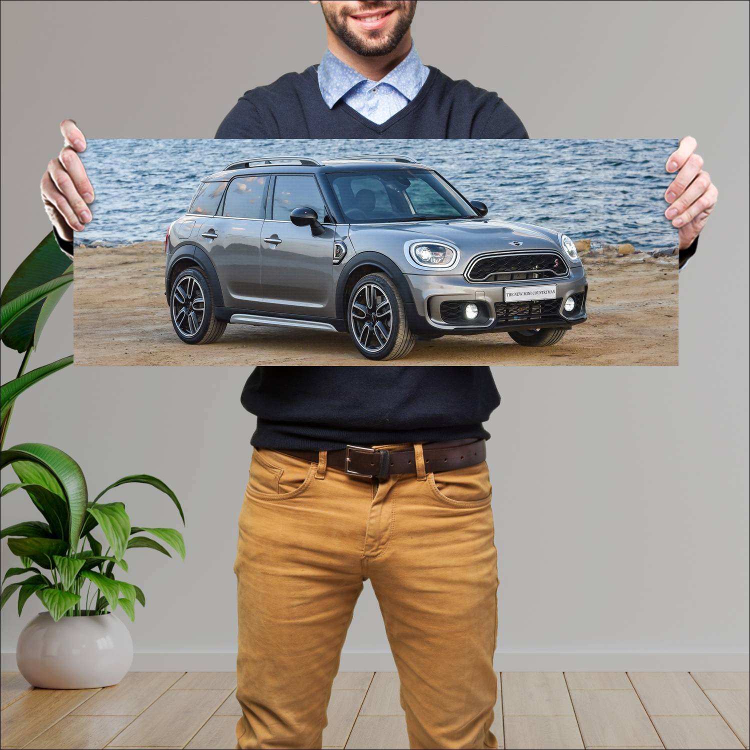 Cuadro grande 30x80cm 2017 mini cooper s countryma 293 Mini