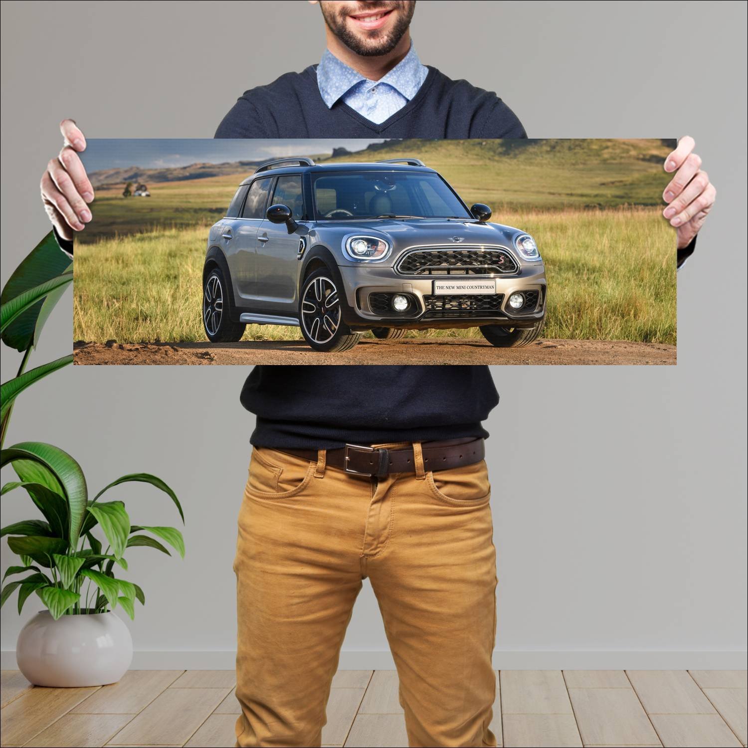 Cuadro grande 30x80cm 2017 mini cooper s countryma 294 Mini