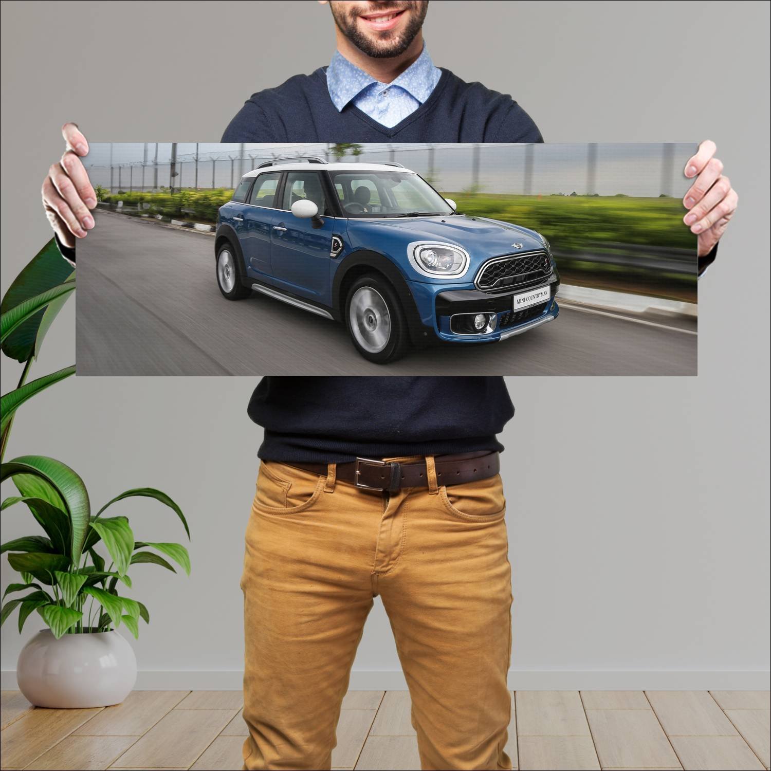 Cuadro grande 30x80cm 2017 mini cooper s countryma 299 Mini