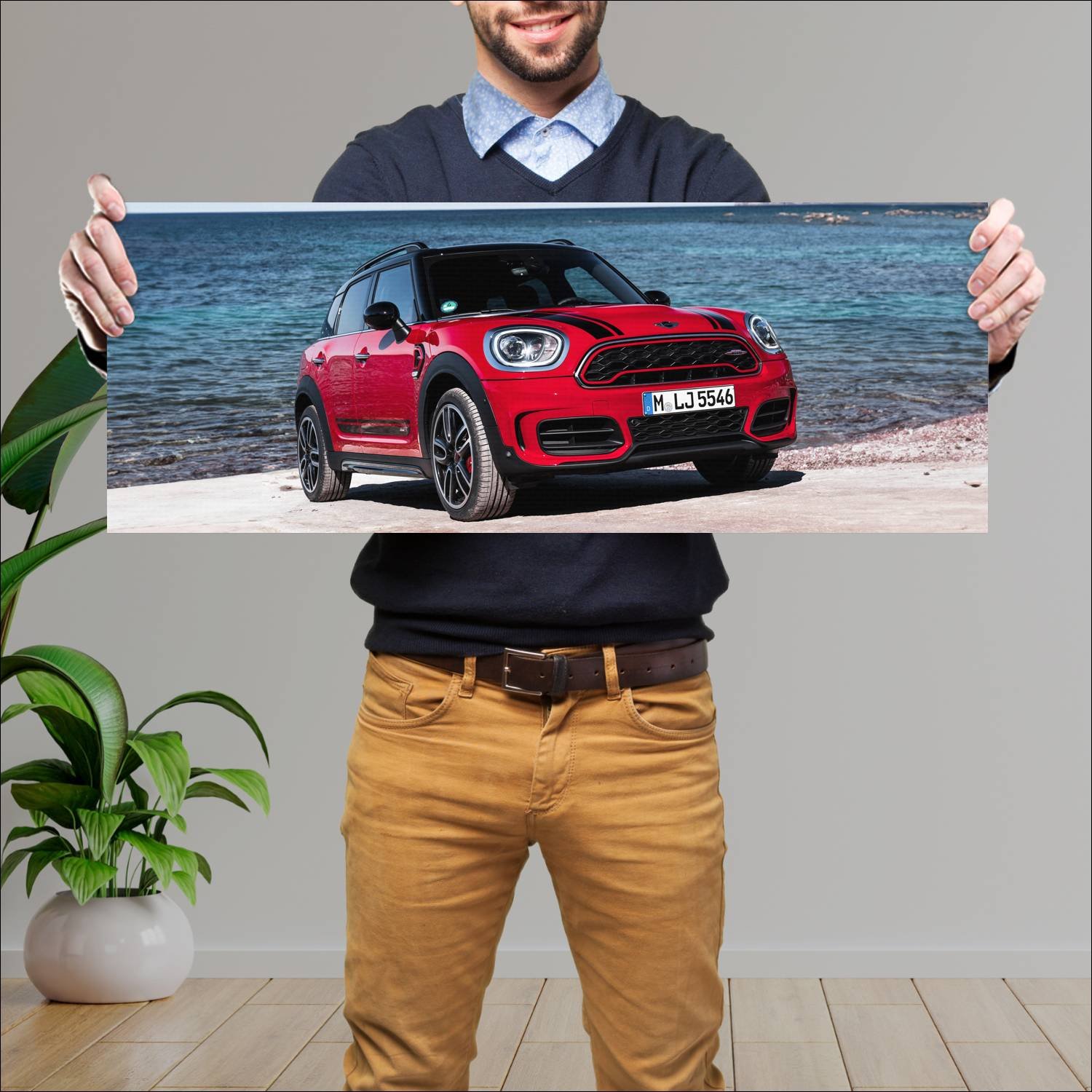 Cuadro grande 30x80cm 2017 mini john cooper works 307 Mini