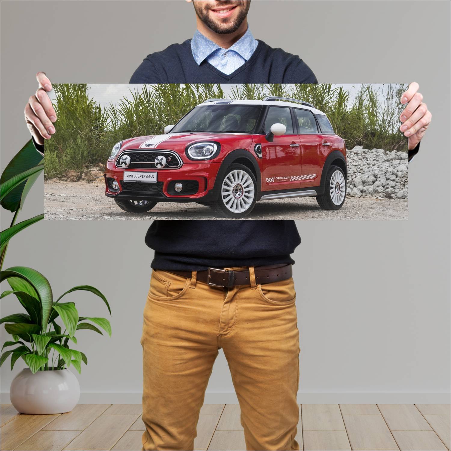 Cuadro grande 30x80cm 2019 mini cooper s countryma 354 Mini