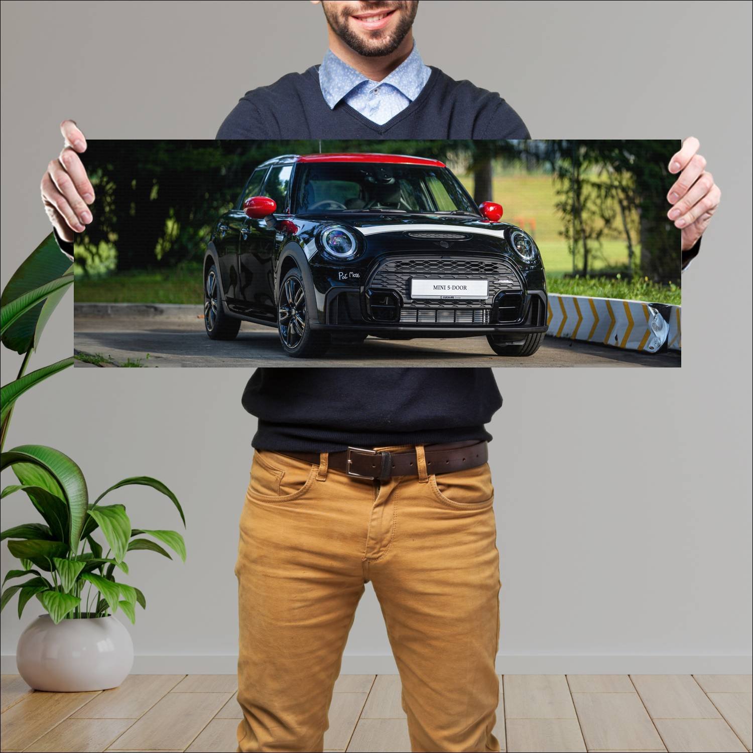 Cuadro grande 30x80cm 2022 mini cooper s pat moss 475 Mini