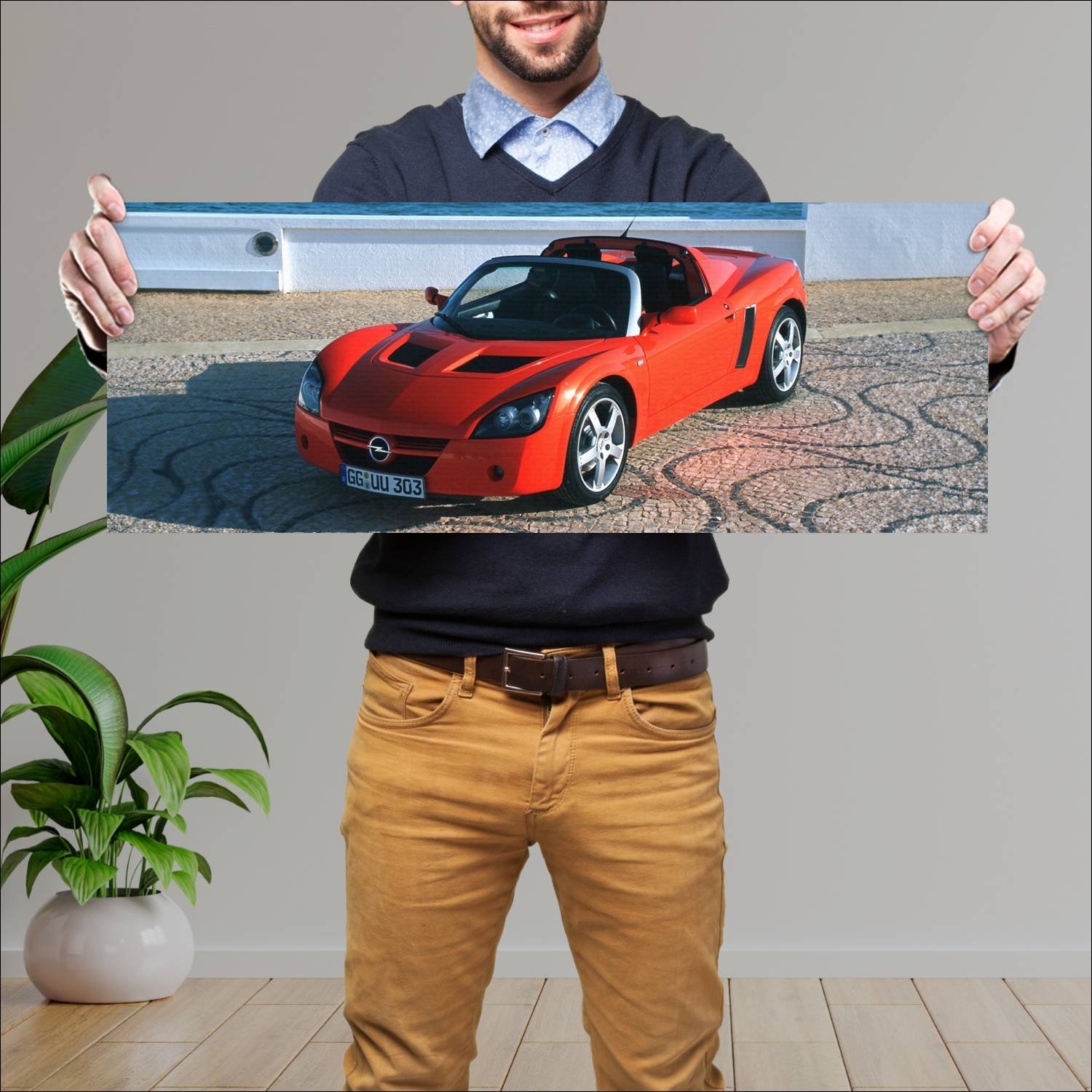 Cuadro grande 30x80cm 2001 opel speedster auto 343 Opel
