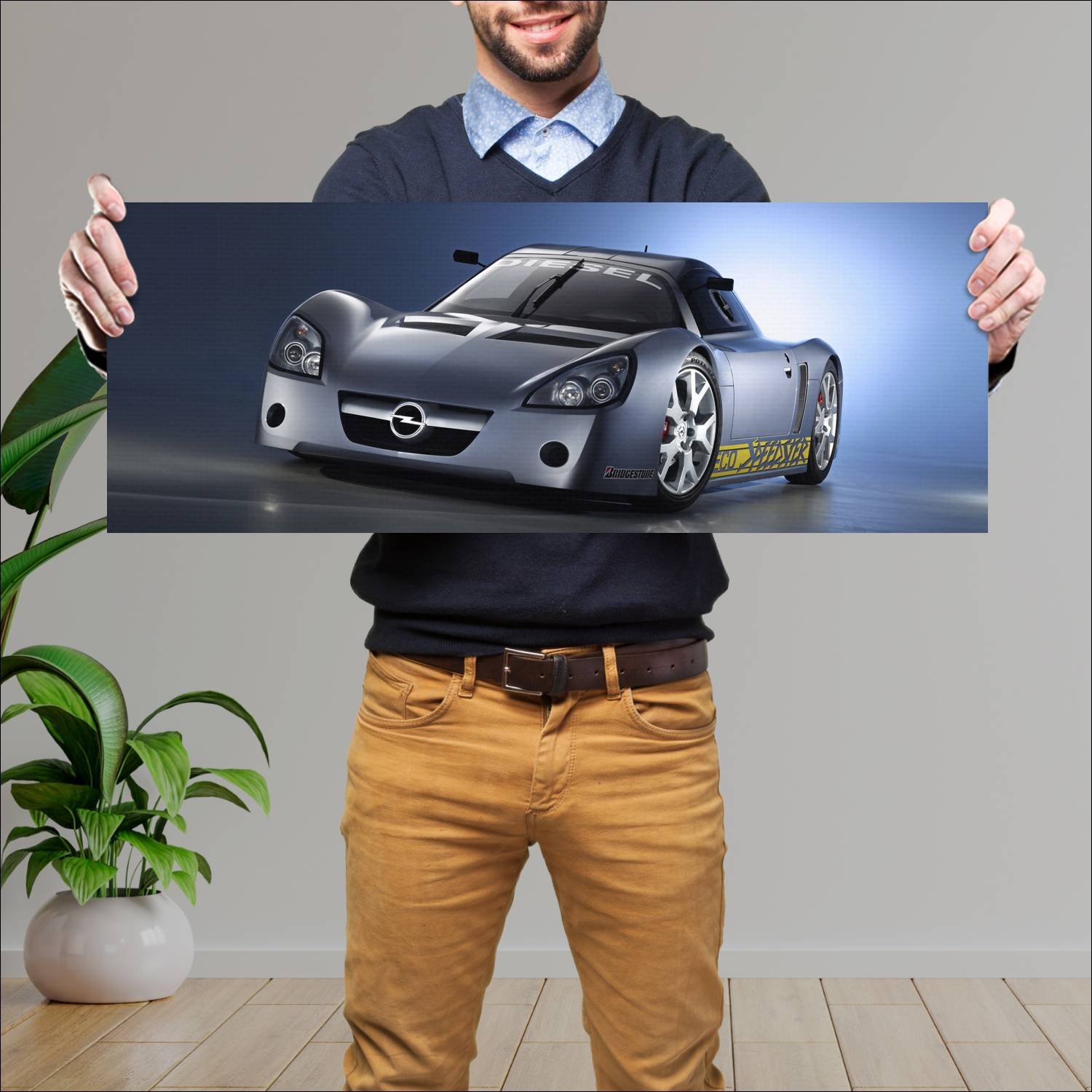 Cuadro grande 30x80cm 2002 opel eco speedster conc 360 Opel