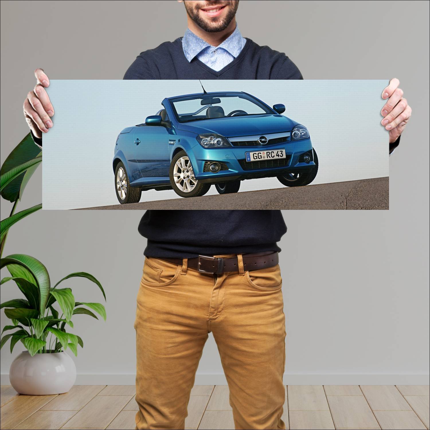 Cuadro grande 30x80cm 2004 opel tigra twintop Opel