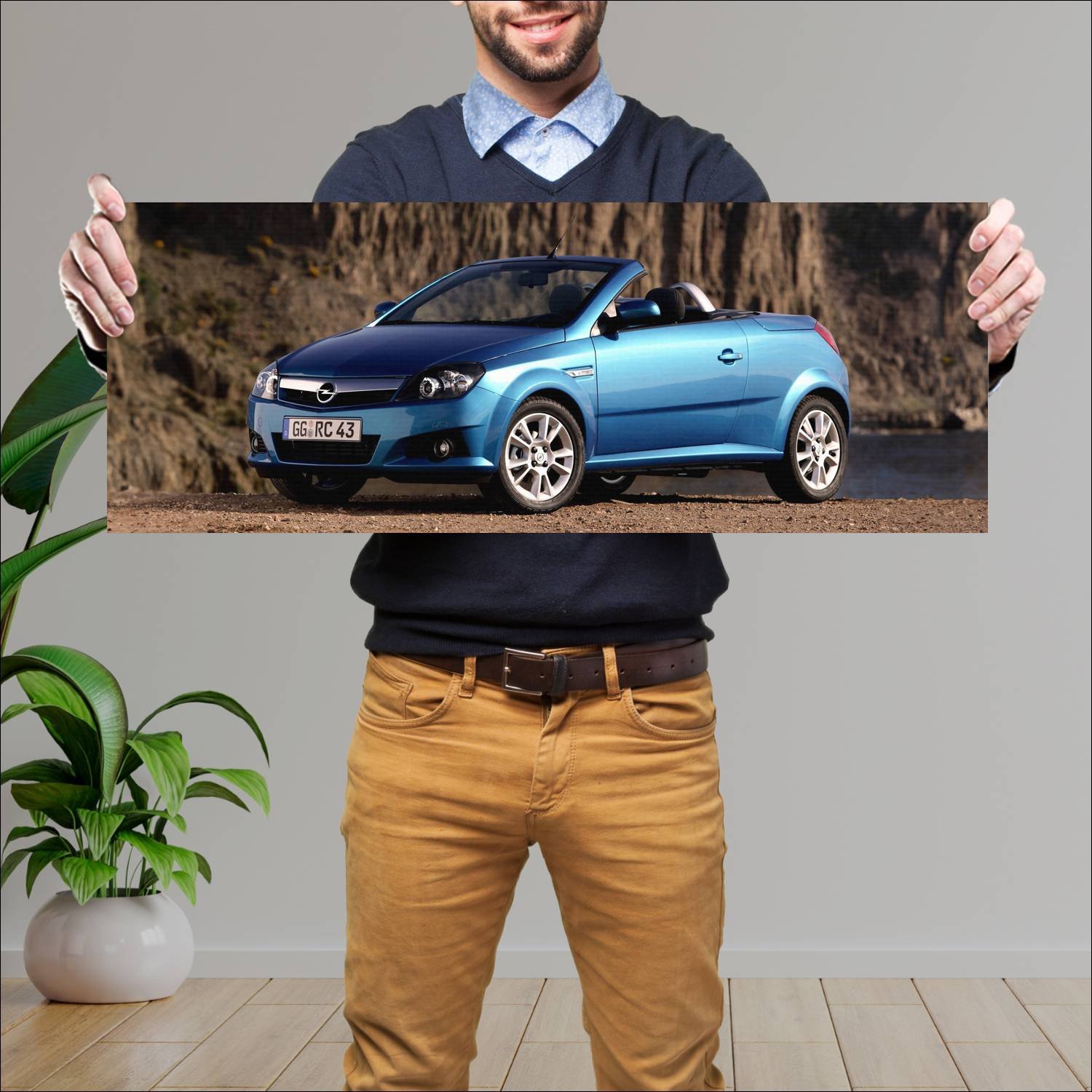 Cuadro grande 30x80cm 2004 opel tigra twintop Opel