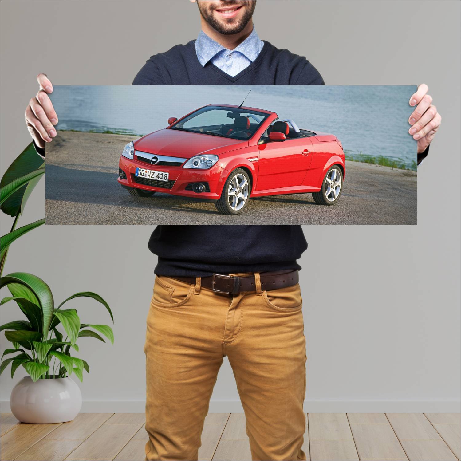 Cuadro grande 30x80cm 2004 opel tigra twintop Opel