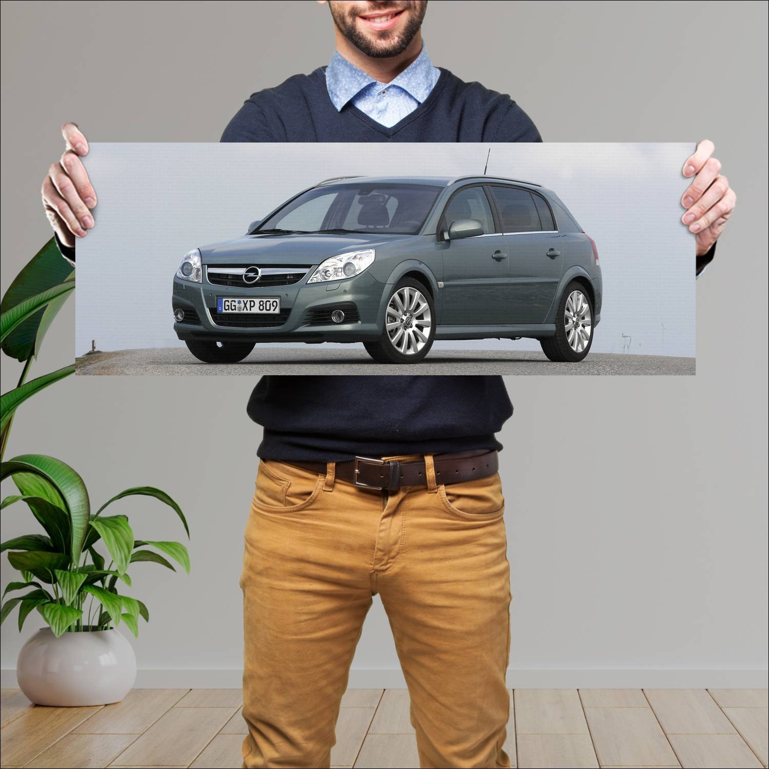 Cuadro grande 30x80cm 2005 opel signum auto 420 Opel