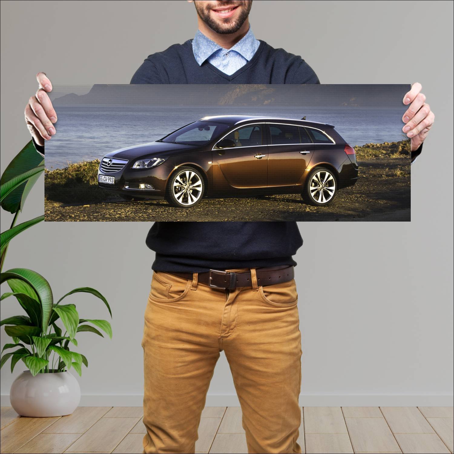Cuadro grande 30x80cm 2008 opel insignia sports to 481 Opel