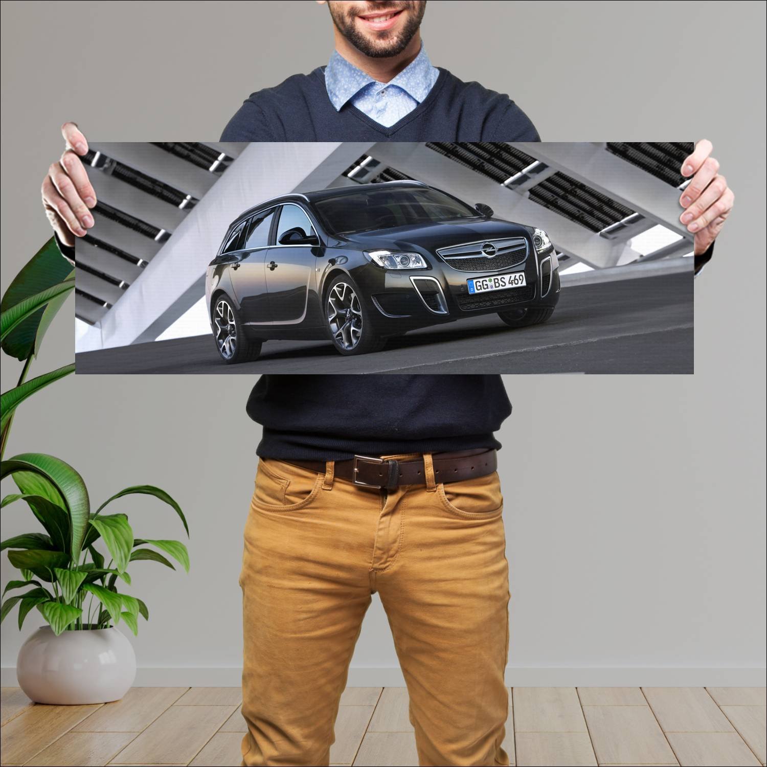 Cuadro grande 30x80cm 2009 opel insignia opc sport 496 Opel