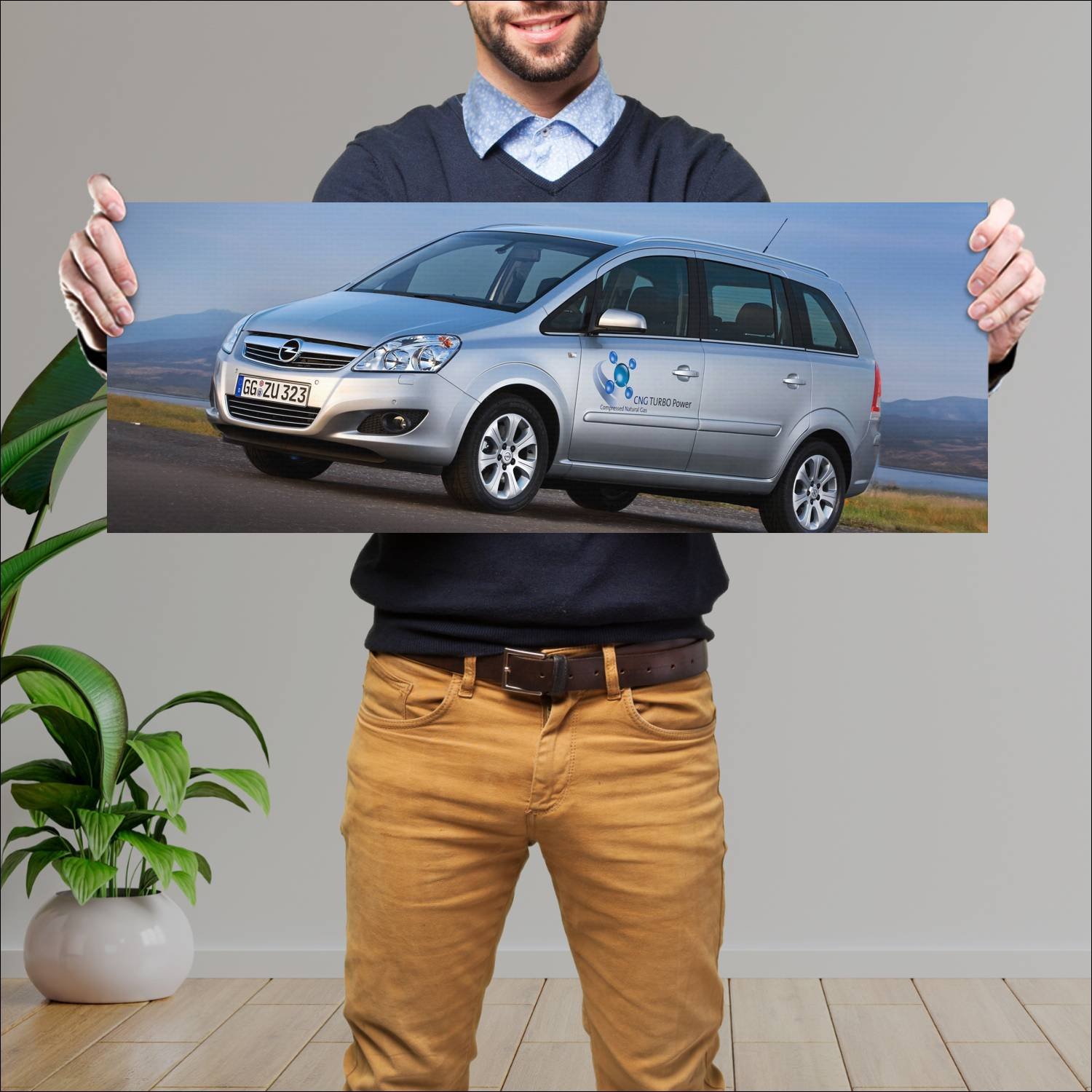 Cuadro grande 30x80cm 2009 opel zafira tng auto 499 Opel