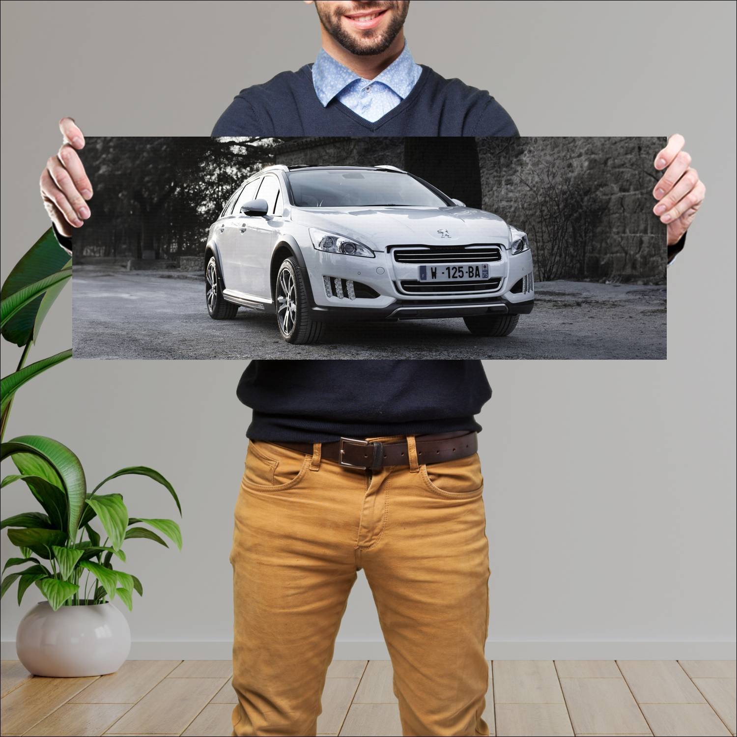 Cuadro grande 30x80cm 2012 peugeot 508 rxh 7418 41 Peugeot