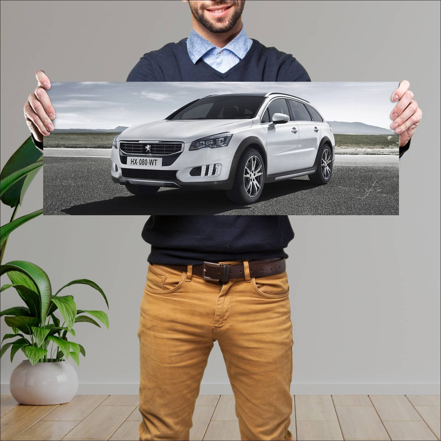 Cuadro grande 30x80cm 2014 peugeot 508 rxh auto 68 Peugeot