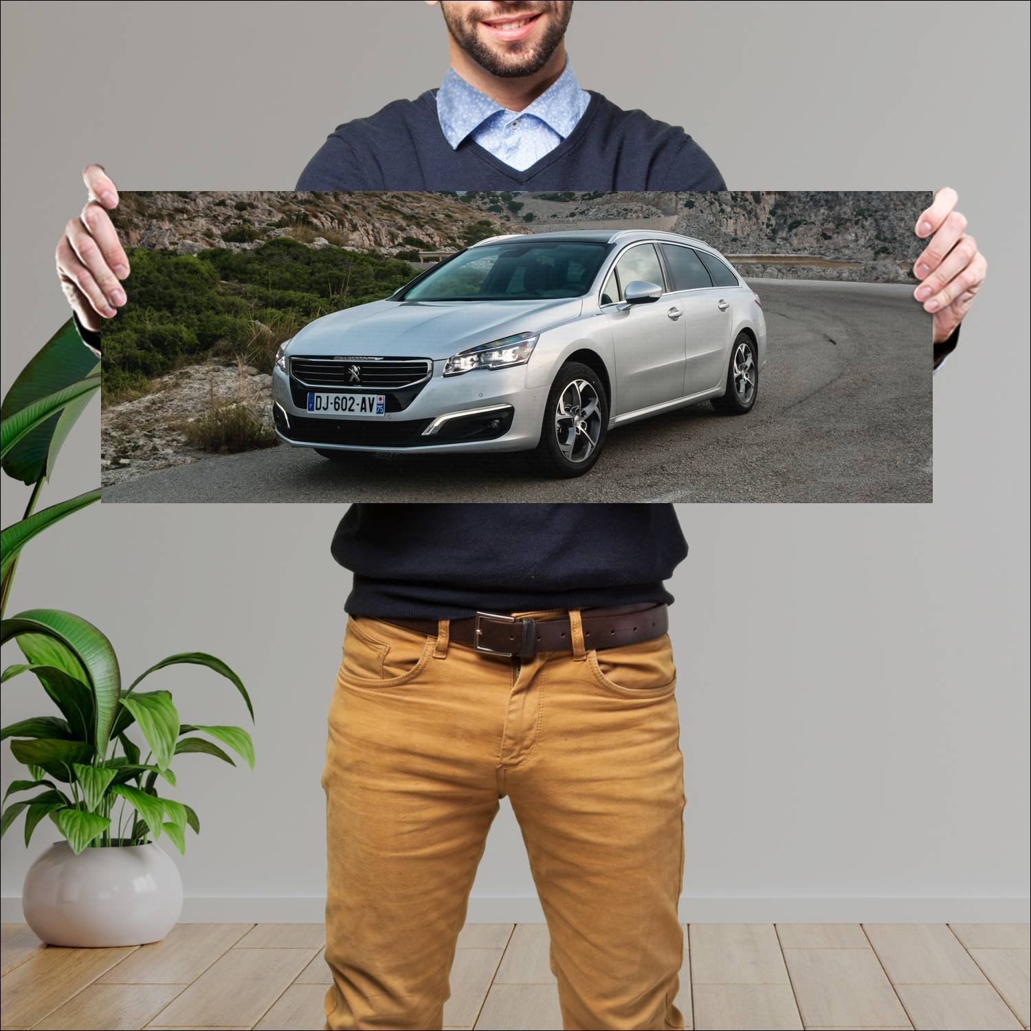 Cuadro grande 30x80cm 2014 peugeot 508 sw auto 69 Peugeot