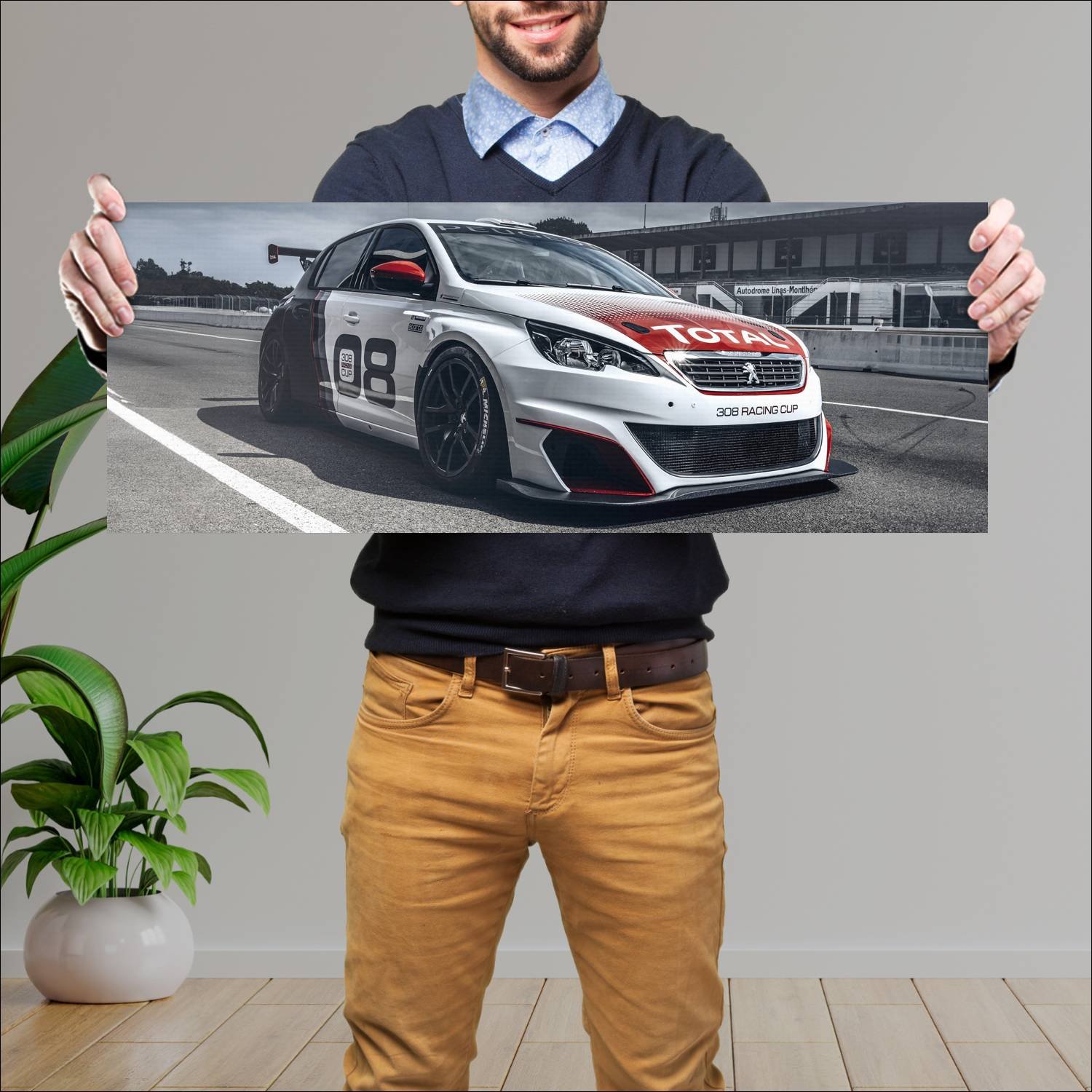Cuadro grande 30x80cm 2016 peugeot 308 racing cup 95 Peugeot
