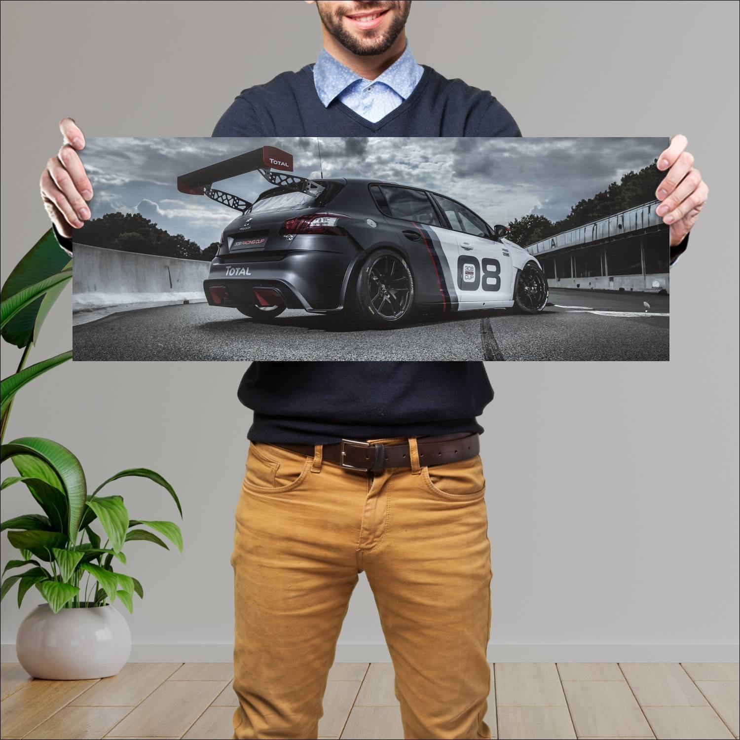 Cuadro grande 30x80cm 2016 peugeot 308 racing cup 96 Peugeot
