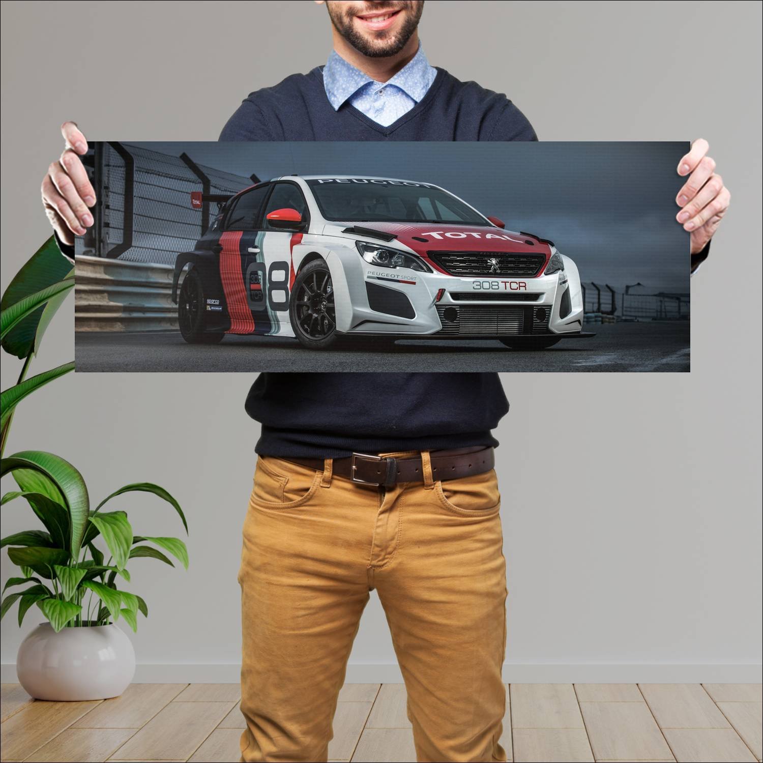 Cuadro grande 30x80cm 2018 peugeot 308 tcr auto 116 Peugeot