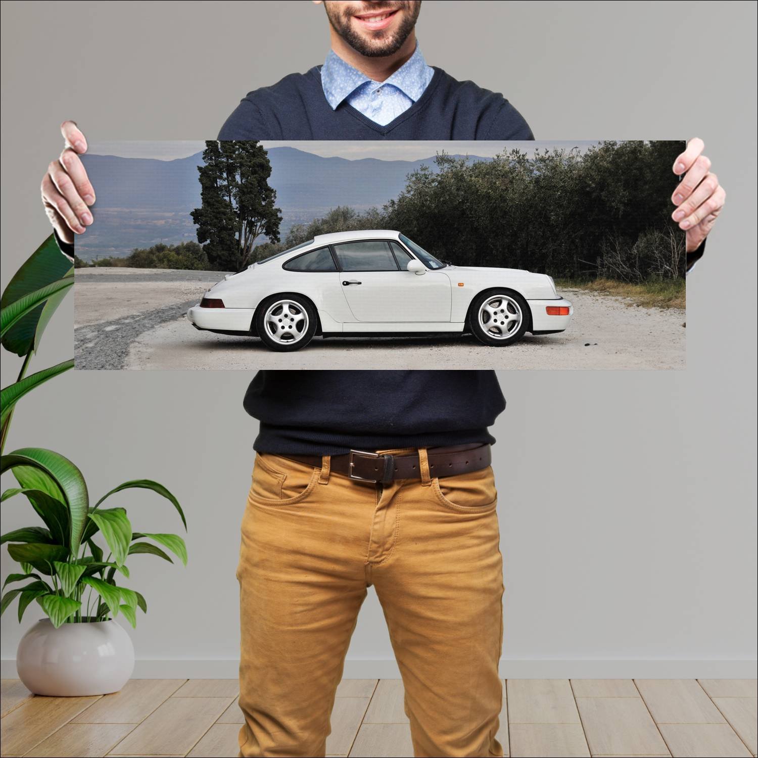 Cuadro grande 30x80cm 1991 porsche 911 carrera rs 239 Porsche