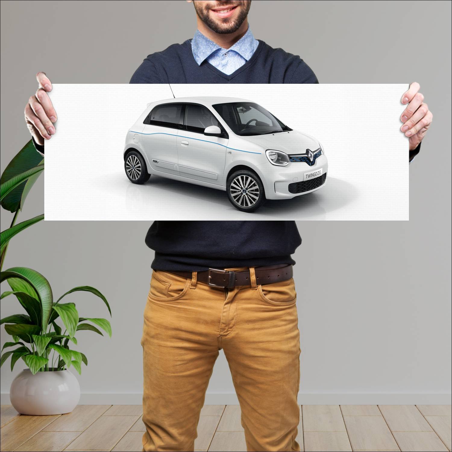 Cuadro grande 30x80cm 2020 renault twingo ze auto 187 Renault