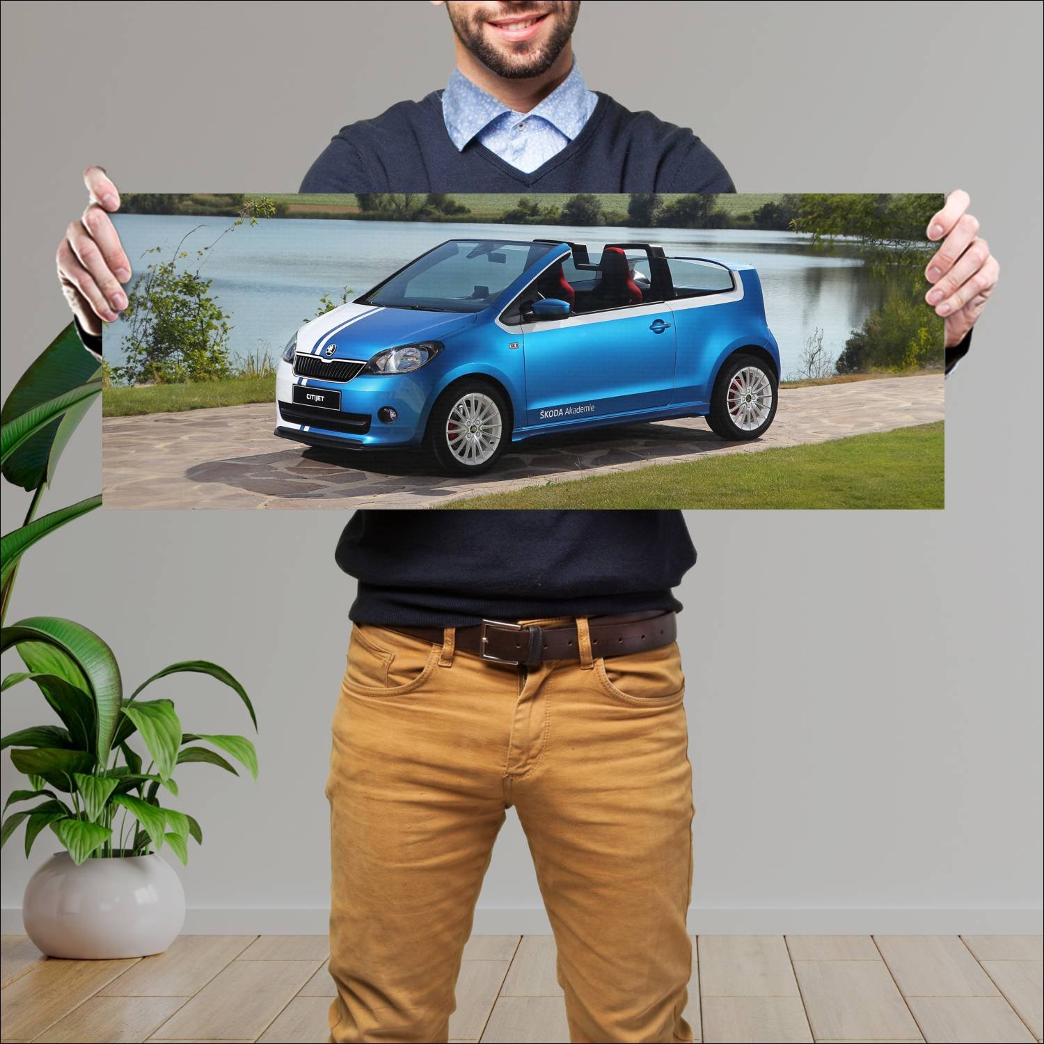 Cuadro grande 30x80cm 2014 skoda citijet auto 201 Skoda