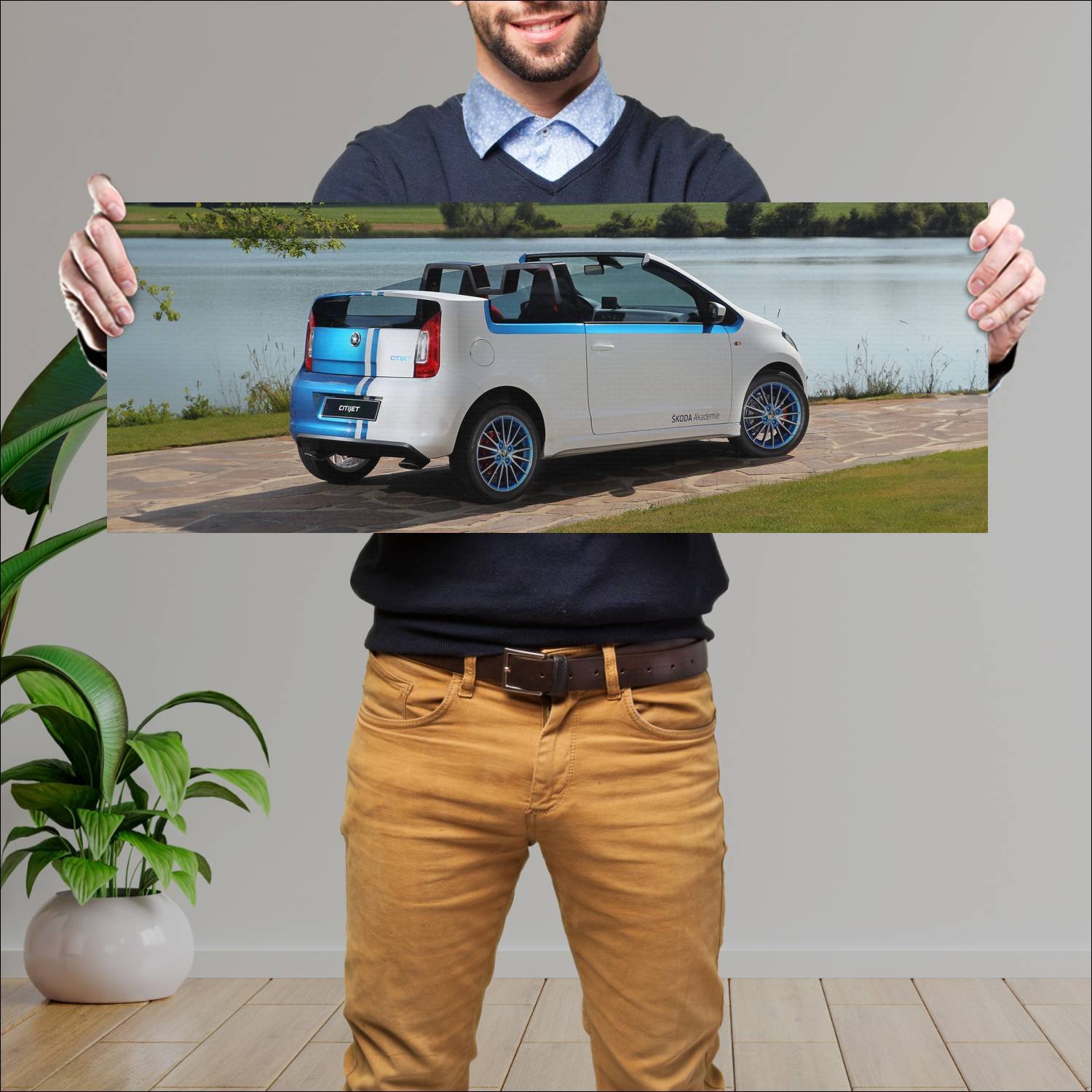 Cuadro grande 30x80cm 2014 skoda citijet auto 202 Skoda